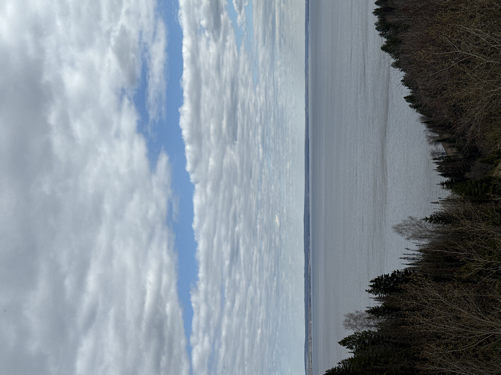The image shows a view of Галево, Russia. The scene includes a body of water, likely a lake or large river, with a shoreline covered in trees and vegetation. The sky is filled with clouds, and there is a patch of blue sky visible. The overall environment appears natural, with trees and water dominating the landscape. There are no people visible in the image. The focus is on the landscape and natural elements.