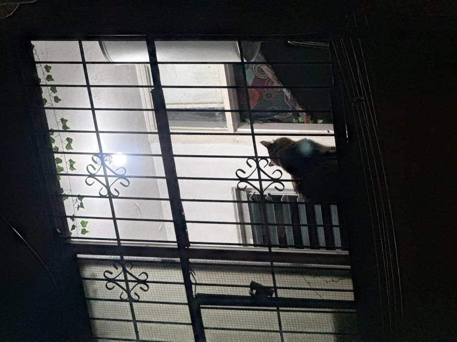 A window with a metal security grill is the focal point. Artificial ivy decorates the grill. An outdoor light illuminates the scene. Through the bars, another window is visible. A cat sits partially visible on the window ledge. The surroundings are mostly dark, with only hints of a blanket.