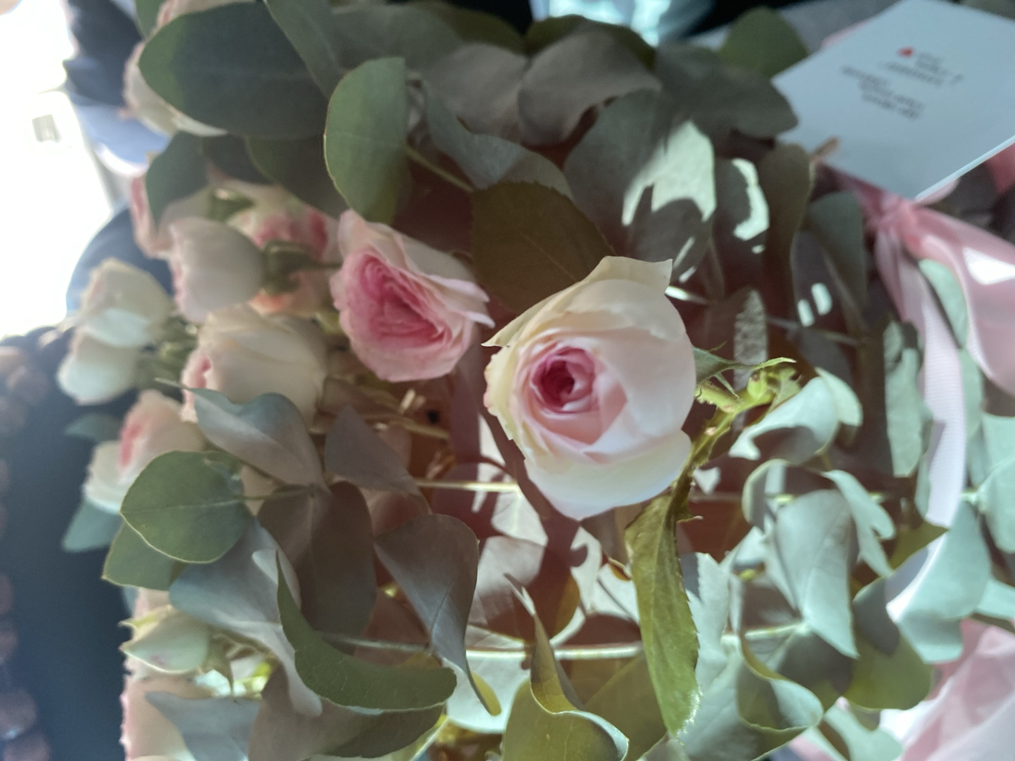 A close-up, slightly blurry, high-angle shot showcases a bouquet of pink and white roses interspersed with eucalyptus leaves. The flowers appear to be freshly cut and are arranged in a pink wrapping. A white card with red text is visible in the lower right corner, suggesting it might be a gift. The lighting suggests an indoor setting, possibly a home or a shop. There are no visible people or specific urban features that would indicate a location within Pavlodar, Kazakhstan.