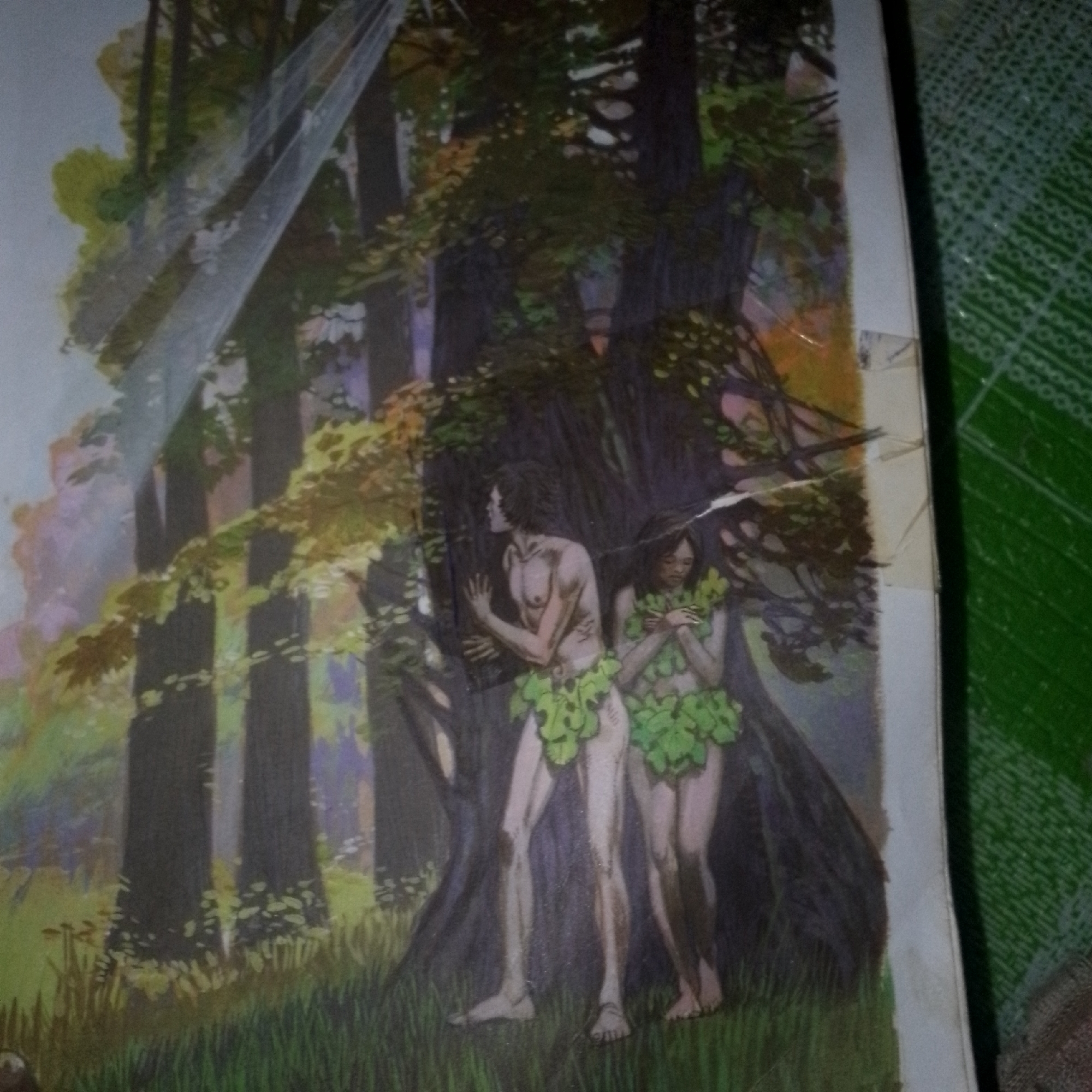 The image depicts a scene from what appears to be a painting or illustration, rendered in a watercolor style. The foreground is dominated by lush green grass and foliage. In the mid-ground, two human figures, a male and a female, are prominently featured. Both are unclothed and appear to be covered in leaves as rudimentary clothing. The male figure stands with his left arm bent and hand on his chest, while his right arm is extended forward. The female figure stands to his right, facing forward with her hands clasped in front of her. They are positioned in a wooded area with several large, dark tree trunks rising behind them. Sunlight filters through the leaves, creating dappled light and shadows. A thin, translucent veil or netting is visible in the upper left portion of the image, draped across some of the trees. The background consists of more trees and a softly colored sky, possibly indicating a daytime scene. The right edge of the image shows a portion of a green, textured surface that is likely a fabric or mat, suggesting the painting is placed on or near such an item. There is no discernible information within the image that connects it to the city of Jalingo, Nigeria.