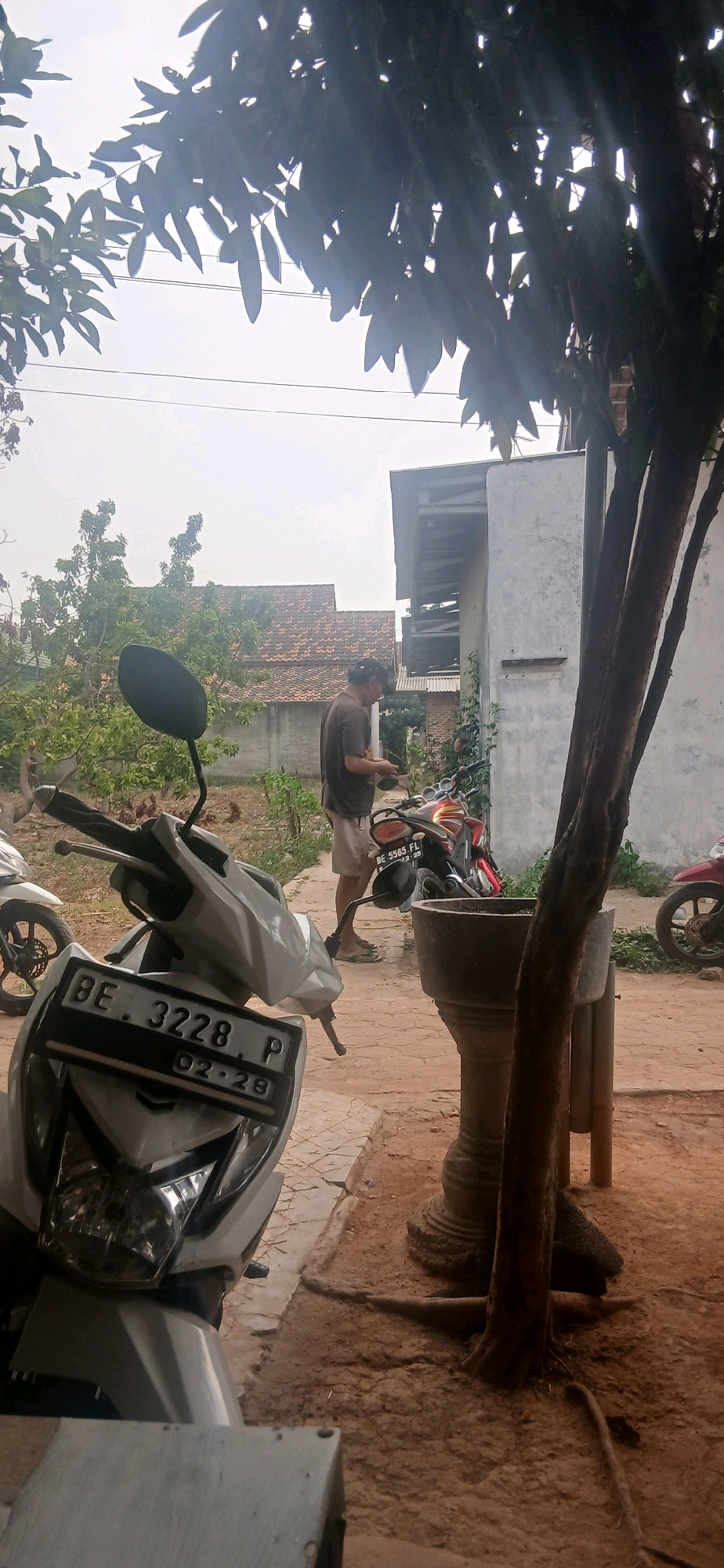Memory