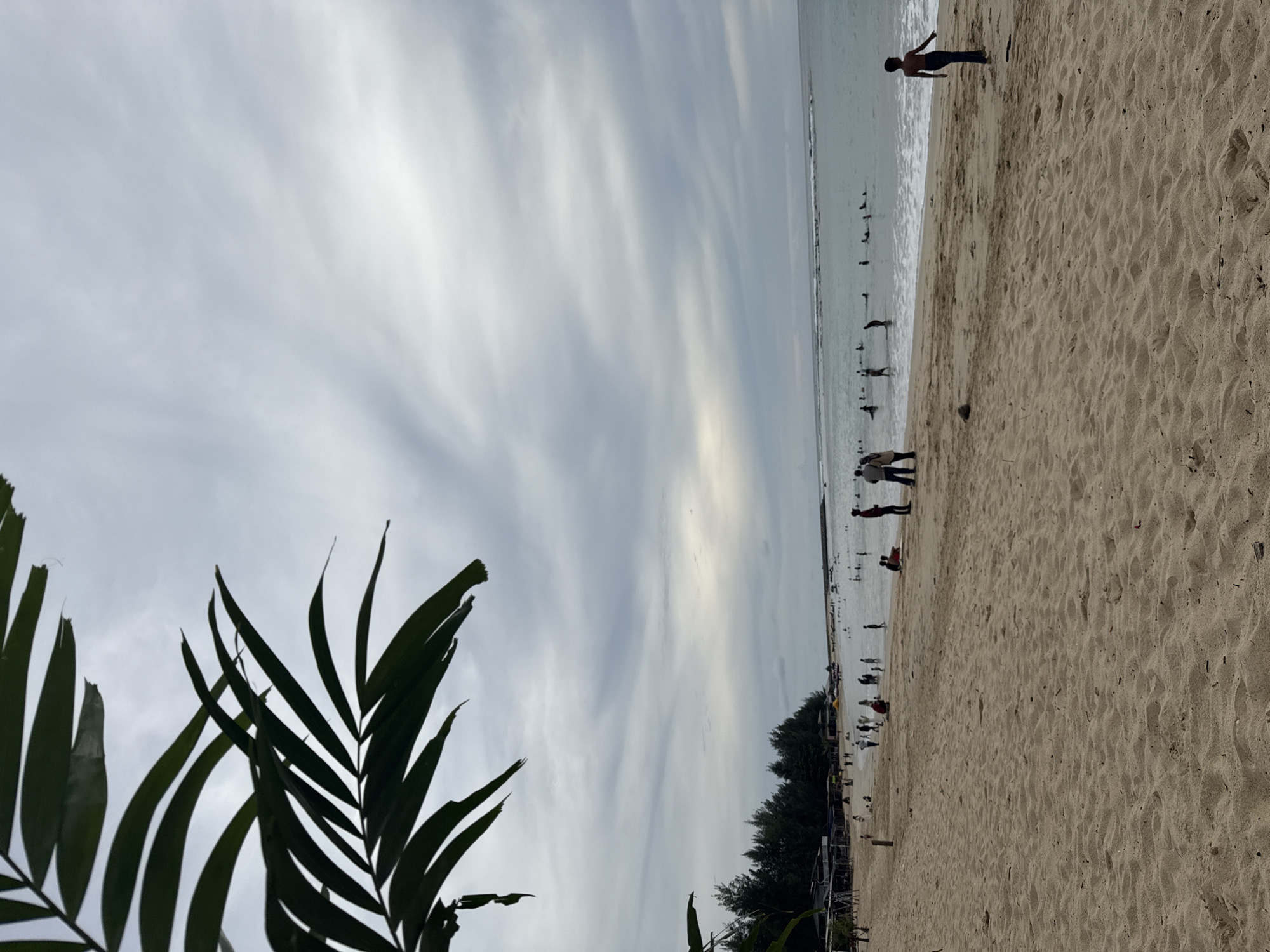 The image depicts a cloudy day at a beach, possibly in the city of Meunasahbale, Indonesia. In the foreground, a sandy beach stretches horizontally across the frame. Lush green palm fronds are visible in the upper left corner, casting a partial shadow. Numerous people are scattered across the beach and in the shallow water. Some are standing, while others appear to be wading or swimming. Further out in the sea, a line of surfers can be seen riding waves. The background features a line of trees, suggesting a coastal environment. The overall atmosphere is that of a casual beach day with moderate activity.