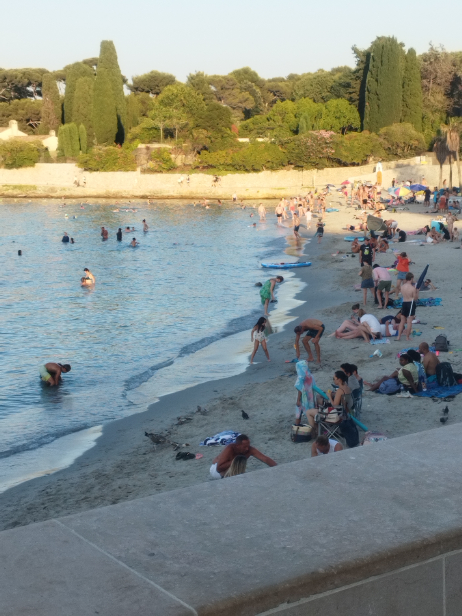 The image depicts a lively beach scene on the coast of Antibes, France, likely near the Cap d'Antibes. A clear, calm blue sea occupies the left side of the frame, with several people swimming and wading in the shallows. The sandy beach is populated with numerous individuals enjoying the sun and sea.
On the sand, people are scattered across the scene. Some are sunbathing on towels, others are standing and conversing, and a few are in the process of setting up or packing away their beach gear. There are beach umbrellas providing shade for some groups. A paddleboard is visible near the water's edge.
In the background, a stone wall separates the beach from lush greenery, characterized by tall cypress trees and dense bushes, typical of the Mediterranean landscape. Beyond the vegetation, buildings are faintly visible, suggesting proximity to a town or resort. The overall atmosphere is one of a typical summer day at a popular European beach, with people engaged in various leisure activities.
