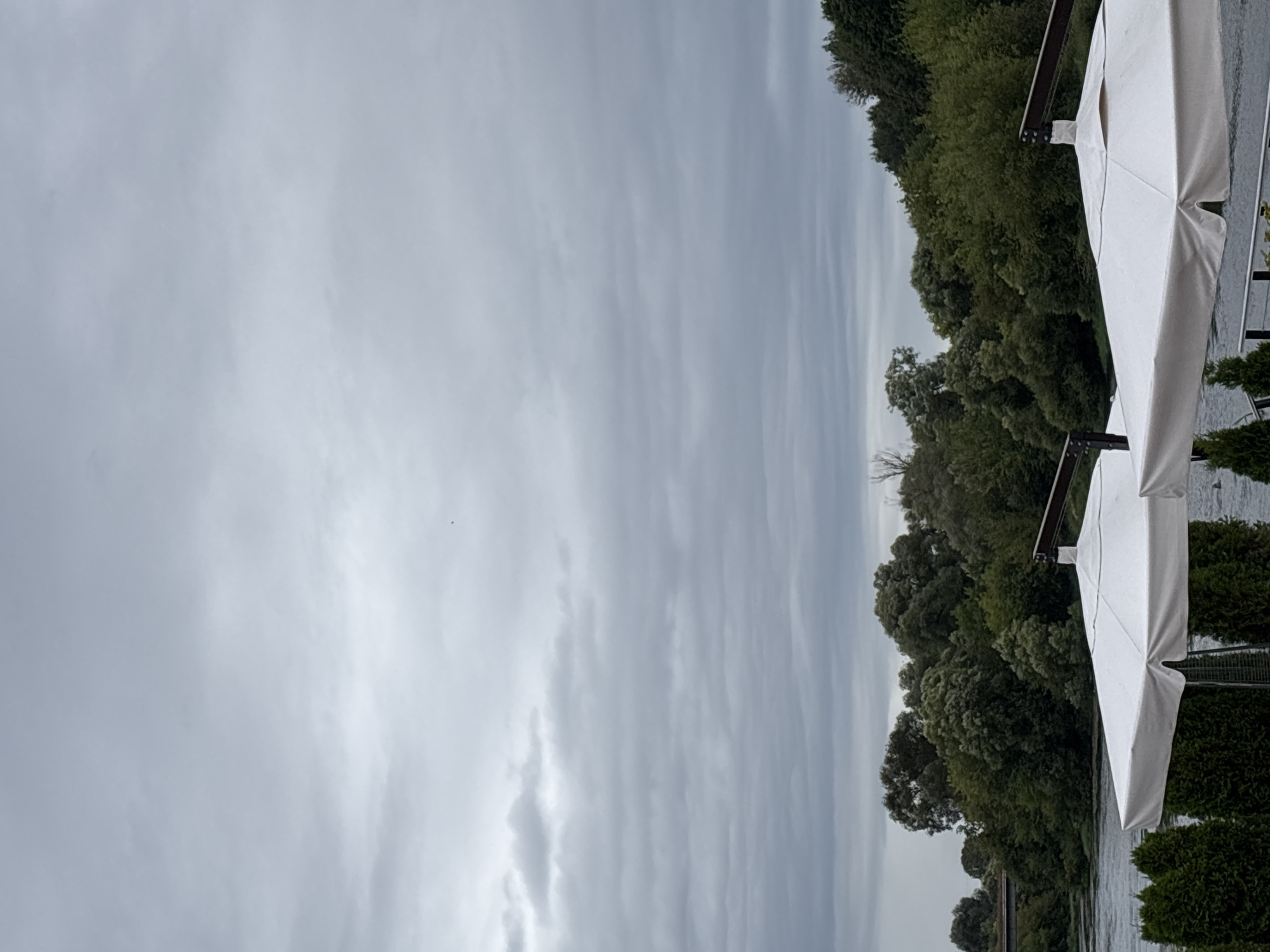 The image shows a cloudy day over a river in Zvenigorod, Russia. In the foreground, two white umbrellas are visible, with dark green evergreen trees lining the bottom of the frame. The river flows past a dense forest on the opposite bank. A bridge is visible in the distance on the left side of the image. The overall mood is overcast and tranquil.