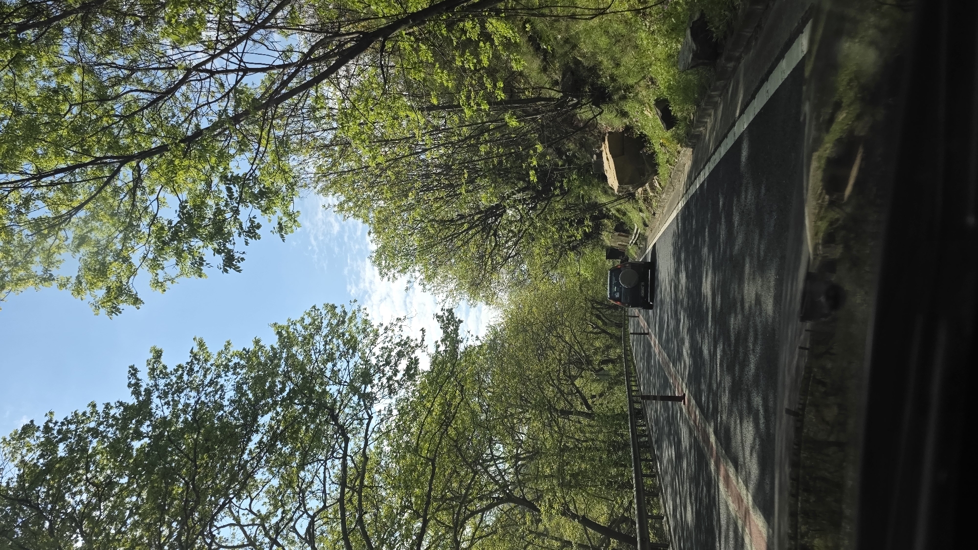 An upward-angled view from a vehicle traversing a road, possibly near Stara Kresna, Bulgaria. The road is flanked by dense green foliage, creating a tunnel-like effect overhead. Patches of blue sky are visible through the trees. Another vehicle is present ahead on the road. A roadside barrier is visible on the left side of the road.