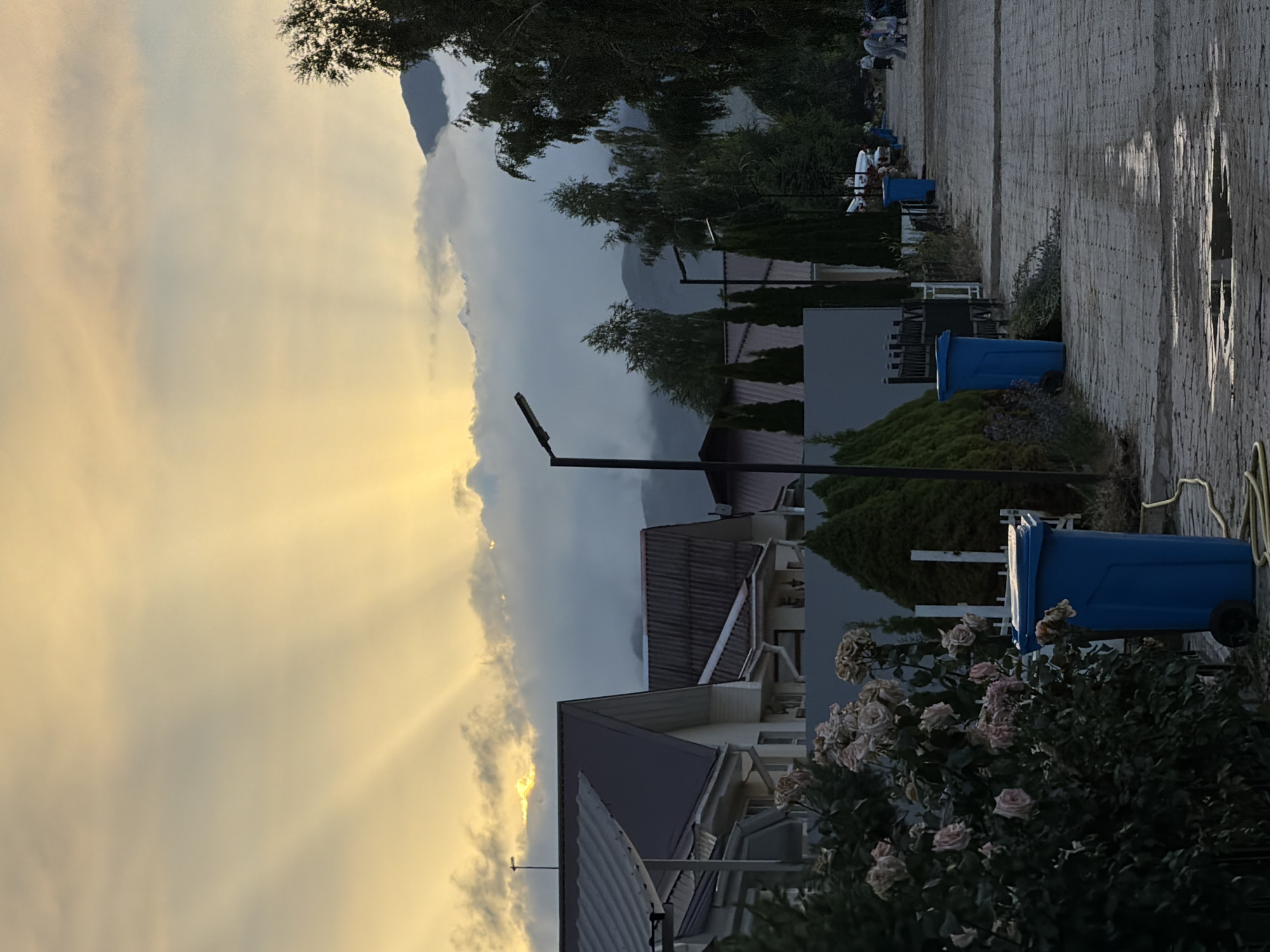 The image depicts a street scene in Çolpon-Ata, Kyrgyzstan, at dusk. The sky is a soft yellow and orange, with sunbeams radiating through scattered clouds. In the foreground, a bush with light pink roses is to the left, and a blue trash bin is to the right. The street is paved with stone and has puddles of water reflecting the sky. Houses with gabled roofs line the street, and cypress trees are planted along the property lines. Several streetlights are visible, as are more blue trash bins further down the road. In the background, mountains are shrouded in mist. A few people are gathered in the distance, their activities unclear. The overall impression is one of a quiet, residential street as the day comes to a close.