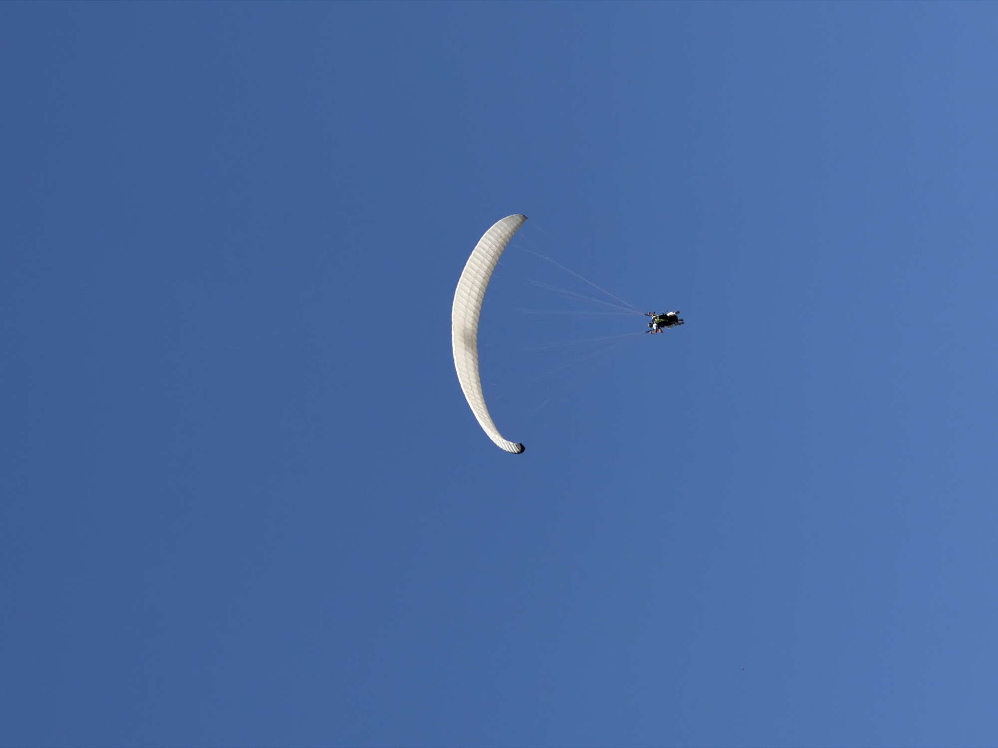 A paraglider is in flight against a clear blue sky. The canopy is predominantly white and elongated, curving to the left. Suspension lines connect the canopy to a figure positioned below and to the right of the canopy. The setting is Boreti, Montenegro, as it is the only location where this image was found.