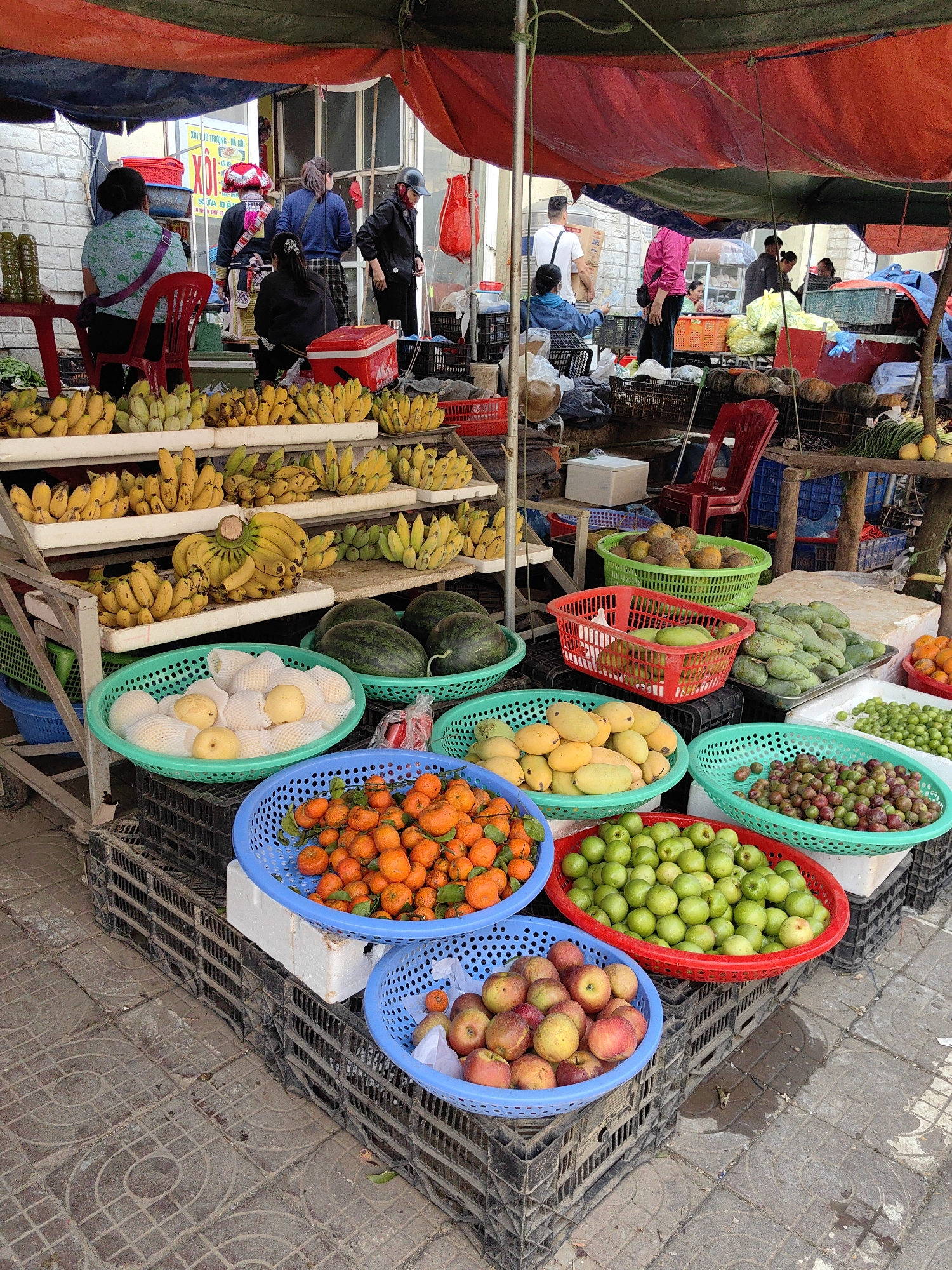 The image depicts an outdoor fruit market stall in Sa Pa, Vietnam, viewed from a slightly elevated perspective. The scene is dominated by a vibrant display of various fresh fruits arranged in colorful plastic baskets and white foam trays, resting on black plastic crates that serve as risers.
In the foreground, a light blue plastic basket contains red and yellow apples, situated on a stack of black crates. To its immediate right, a red plastic basket holds numerous small green, round fruits, possibly jujubes or small apples. Above these, a blue plastic basket is filled with bright orange tangerines or mandarins, some still bearing leaves. Further back, a light green basket contains yellow mangoes, and another light green basket holds small, dark red/purple berries or plums. A red plastic basket near the center displays green mangoes. Large green watermelons are visible in another green basket, alongside white guavas or pears, some individually wrapped in protective foam mesh, in a light green basket.
Behind this main display, multiple tiers of white stands are laden with numerous bunches of yellow bananas. The ground is paved with grey concrete tiles featuring a repeating circular and square pattern, showing signs of wear and minor staining.
The market stall is covered by an overhead canopy composed of red and dark green tarps, supported by metal poles. In the mid-ground and background, several individuals are present. On the left, a woman in a blue-green patterned shirt is seated on a red plastic chair, facing away from the viewer. Behind the fruit display, a woman in traditional Hmong attire, characterized by a distinctive red head covering and dark clothing, is visible, facing away. Adjacent to her, another woman in a dark blue sweater and plaid skirt also faces away. Further to the right, a person wearing a black jacket and a dark helmet is partially visible, appearing to reach for something. In the background, additional blurred figures suggest a busy market environment. A partial sign in the background reads "XÔI GÀ THƯƠNG - HÀ NỘI," indicating another vendor or a nearby shop. Scattered red plastic chairs, a red cooler, and two green bottles on a small red table are also visible.