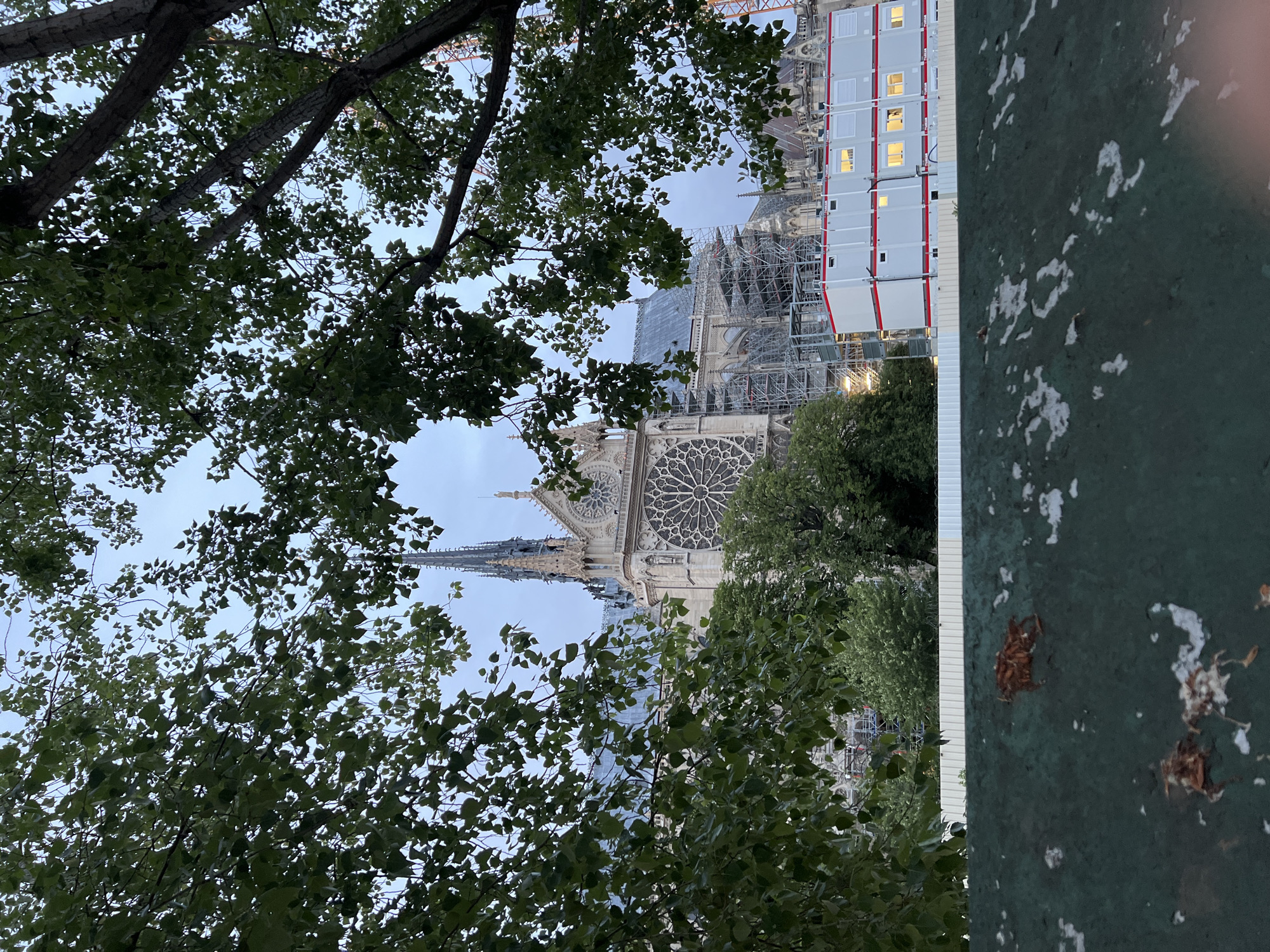 A view of Notre Dame Cathedral in Paris, France, is captured from a ground-level perspective, partially framed by dense tree foliage in the foreground. The cathedral is undergoing significant restoration or reconstruction, with extensive scaffolding covering large sections of its structure, including parts of the roof and upper walls.
To the right of the cathedral, a stack of white, modular construction units, likely temporary offices or facilities, is prominently visible. Several windows in these units are illuminated, suggesting the photograph was taken at dusk, dawn, or during an overcast day. The sky above is a muted, light blue-grey.
The iconic rose window of Notre Dame is clearly visible on the lower-left portion of the cathedral's main facade, showcasing its intricate design. A reconstructed spire, still partially obscured by scaffolding and tree branches, rises above the main structure to the left of the rose window. The foreground is dominated by green leaves and tree branches, with dark tree trunks on the left. On the far right, a vertical green surface, possibly a wall or fence, shows patches of white and brown stains or debris. There are no discernible people visible in the image.