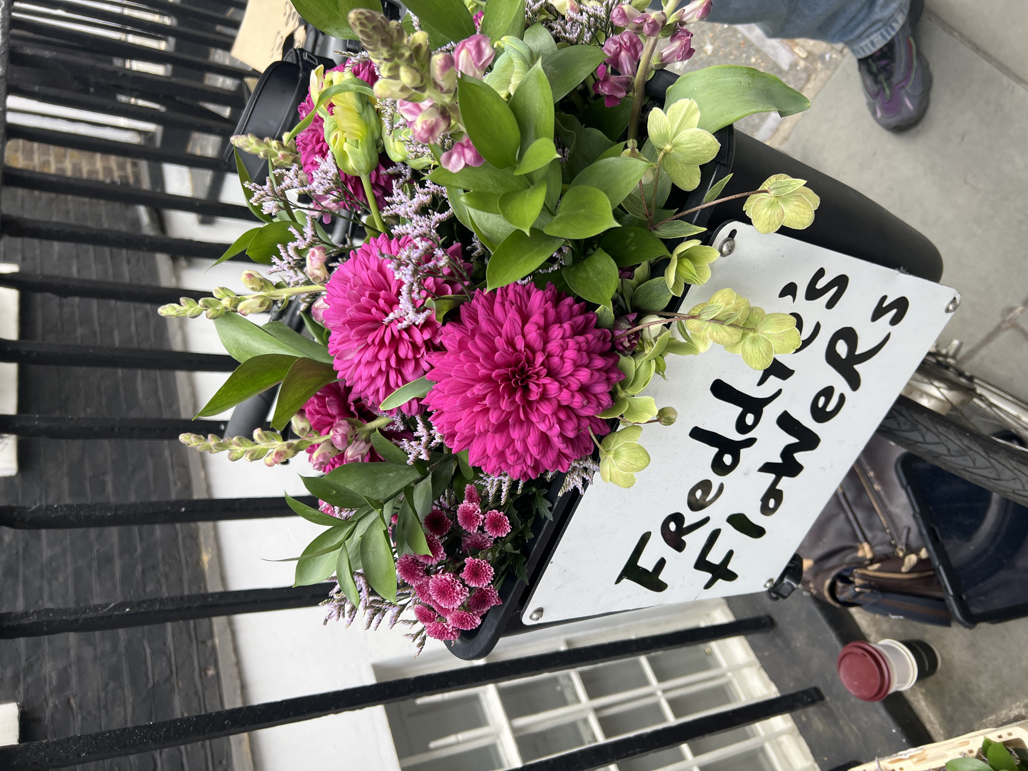 A vibrant bouquet of flowers is captured in a top-down shot, likely arranged in a black basket affixed to a bicycle, set outdoors in London. The floral arrangement features prominent fuchsia-pink, chrysanthemum-like blooms, interspersed with delicate clusters of light purple filler flowers and diverse green foliage. Notable green elements include bright, lime-green, bell-shaped flowers resembling Hellebores, and various dark green leaves.
A white rectangular sign is attached to the front of the basket, displaying the text "Freddy's Flowers" in a distinctive, informal black script.
The background reveals a series of black steps or a railing against a white wall or building with a visible window, suggesting an urban or residential street. In the upper right corner, the lower leg and foot of a person are visible, wearing blue jeans and a dark athletic shoe with purple accents. A brown bag and a white and red disposable cup are also present on the ground beside the basket. The scene is brightly illuminated, indicating daylight.