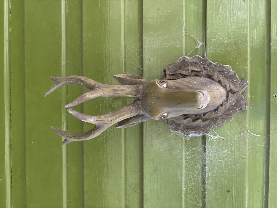 The image displays a weathered deer head sculpture mounted centrally on a horizontally planked wall in the city of Stiperstones, United Kingdom. The sculpture, rendered in a brownish-grey material suggestive of concrete or stone, features multi-pronged antlers and a decorative base resembling foliage. Its eyes are painted reddish-brown with distinct white highlights. The wall behind the sculpture consists of evenly spaced wooden planks, coated in a lime green paint with a slight sheen. Fine, white cobwebs are extensively present on the wall, particularly to the left and below the sculpture, indicating the environment's condition. Dust accumulation is visible on both the sculpture and the wall surface. No individuals or active interactions are depicted.