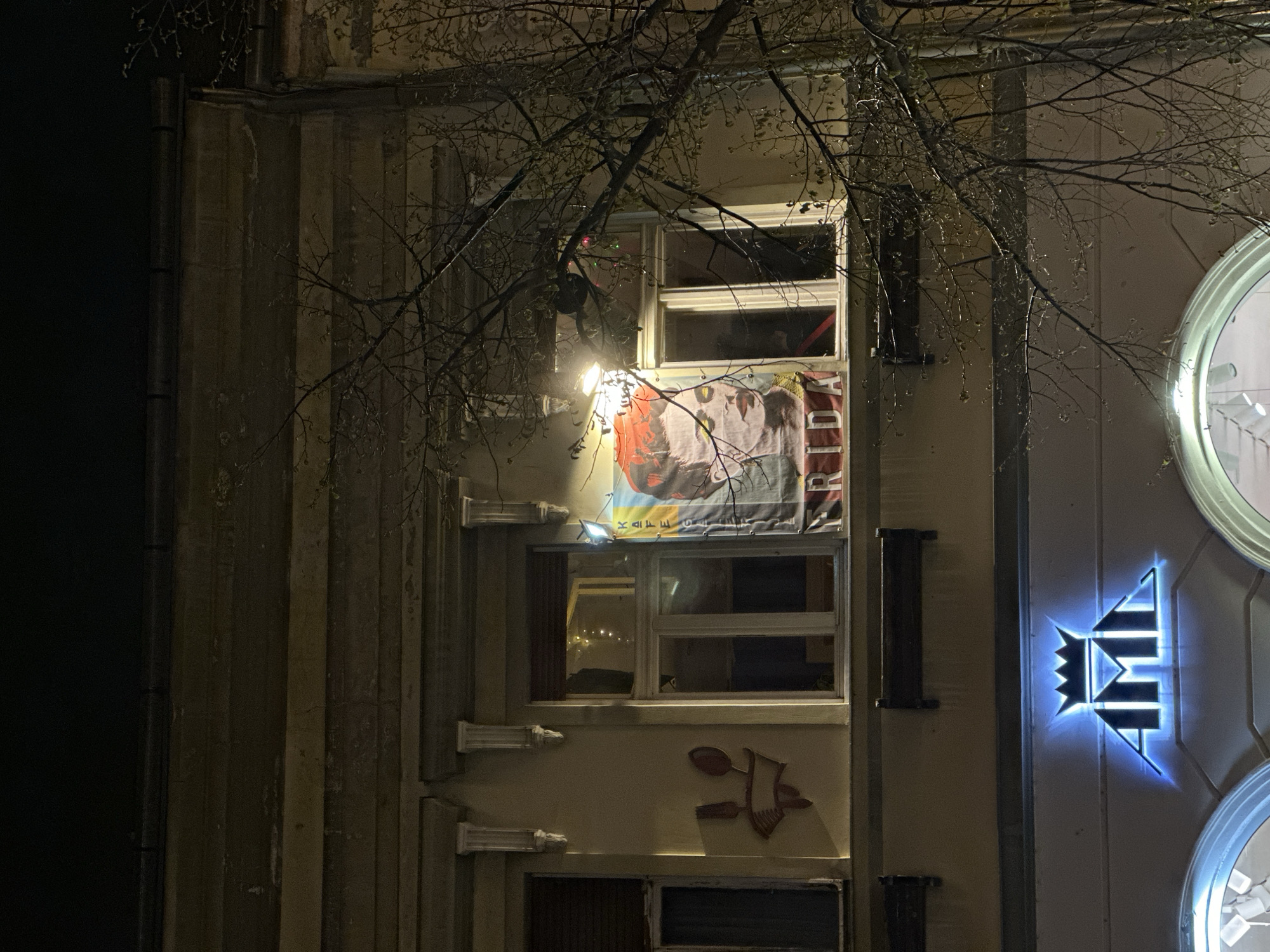 At night, an illuminated building in Novi Sad, Serbia is partially obscured by bare branches. The building appears to be several stories tall. A sign in a window reads "FRIDA". Below this window are other windows and a sign resembling a spatula or cooking utensil. To the right is a circular sign with a blue light emanating from a stylized crown shape. The building facade appears to be made of vertical panels.