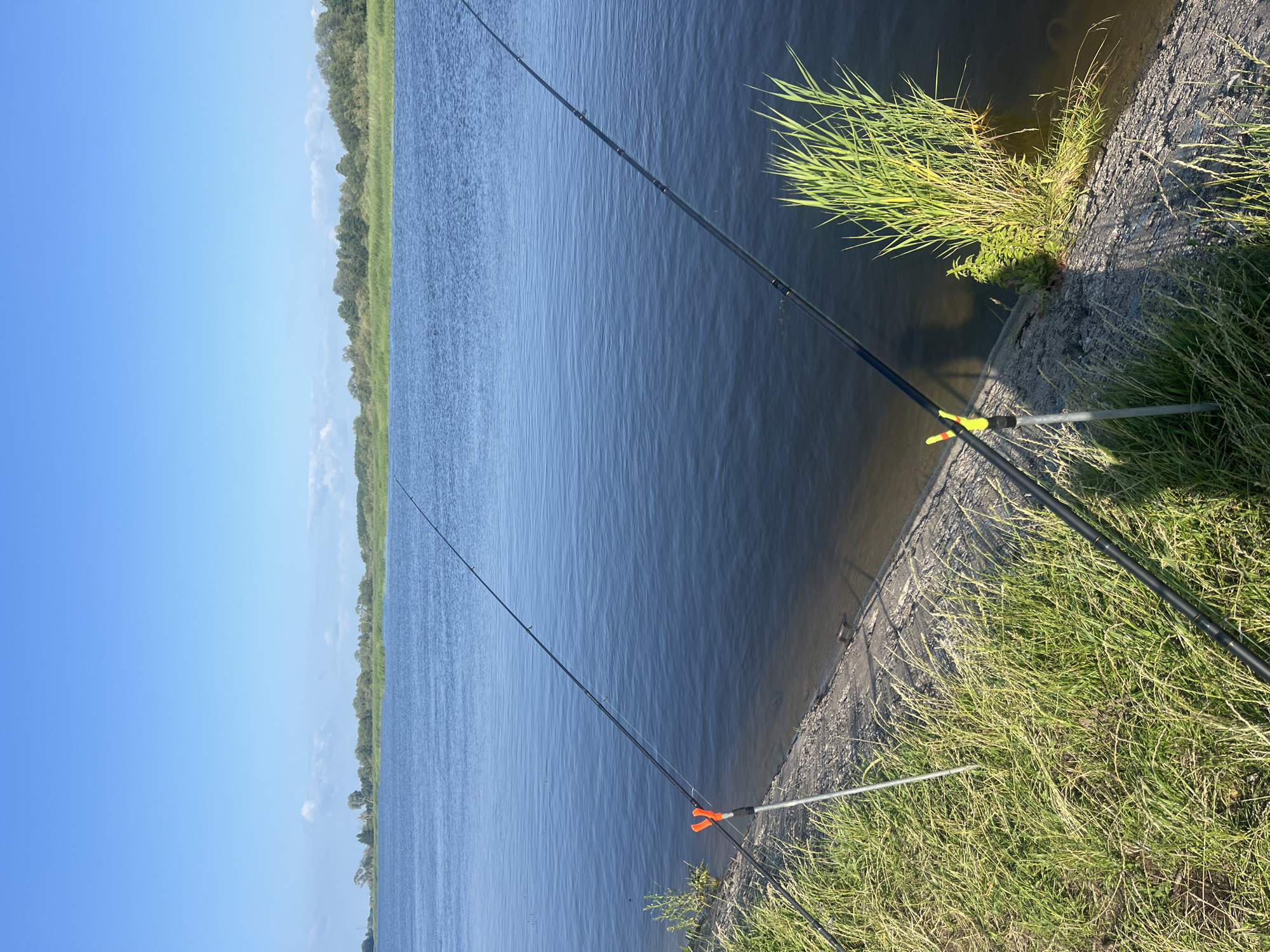 The image depicts a serene waterscape in Vorusnė, Lithuania, under a clear blue sky. Two fishing rods are set up on the grassy bank, angling towards the calm, dark blue water of a river or lake. The bank is lined with concrete and overgrown with lush green grass and reeds. The horizon is marked by a dense line of trees and vegetation. Sunlight casts shadows on the grass, indicating it is daytime. The scene is tranquil, with no people visible, suggesting a solitary fishing excursion.