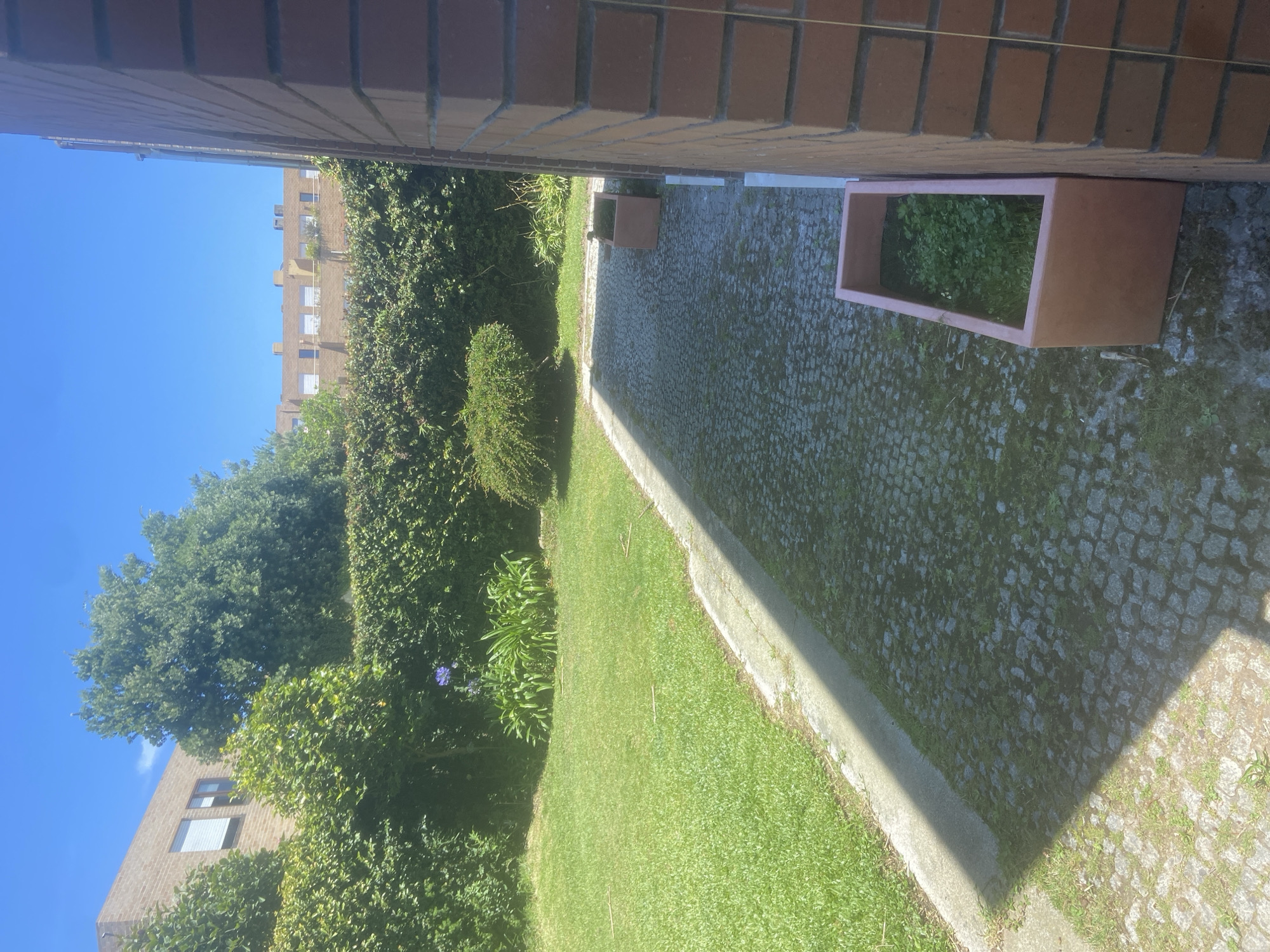 The image shows an outdoor scene with a brick wall in the foreground, suggesting it is part of a building or patio. Beyond the wall, a paved area with cobblestones stretches out, bordered by a strip of grass. A rectangular planter box filled with green plants sits on the cobblestone path. Further into the scene, a well-maintained lawn is visible, with lush green bushes and trees, including a large tree with dense foliage. In the background, a multi-story building with light-colored brickwork and numerous windows is partially obscured by the greenery. The sky is a clear, bright blue, indicating a sunny day. The shadows cast on the cobblestone path suggest it is daytime. The overall impression is of a residential or garden area, likely in a warm climate, given the clear sky and healthy vegetation. The location context is identified as Matosinhos, Portugal. There is no visible text in the image. The scene is tranquil and well-lit, conveying a sense of calm and pleasant weather.