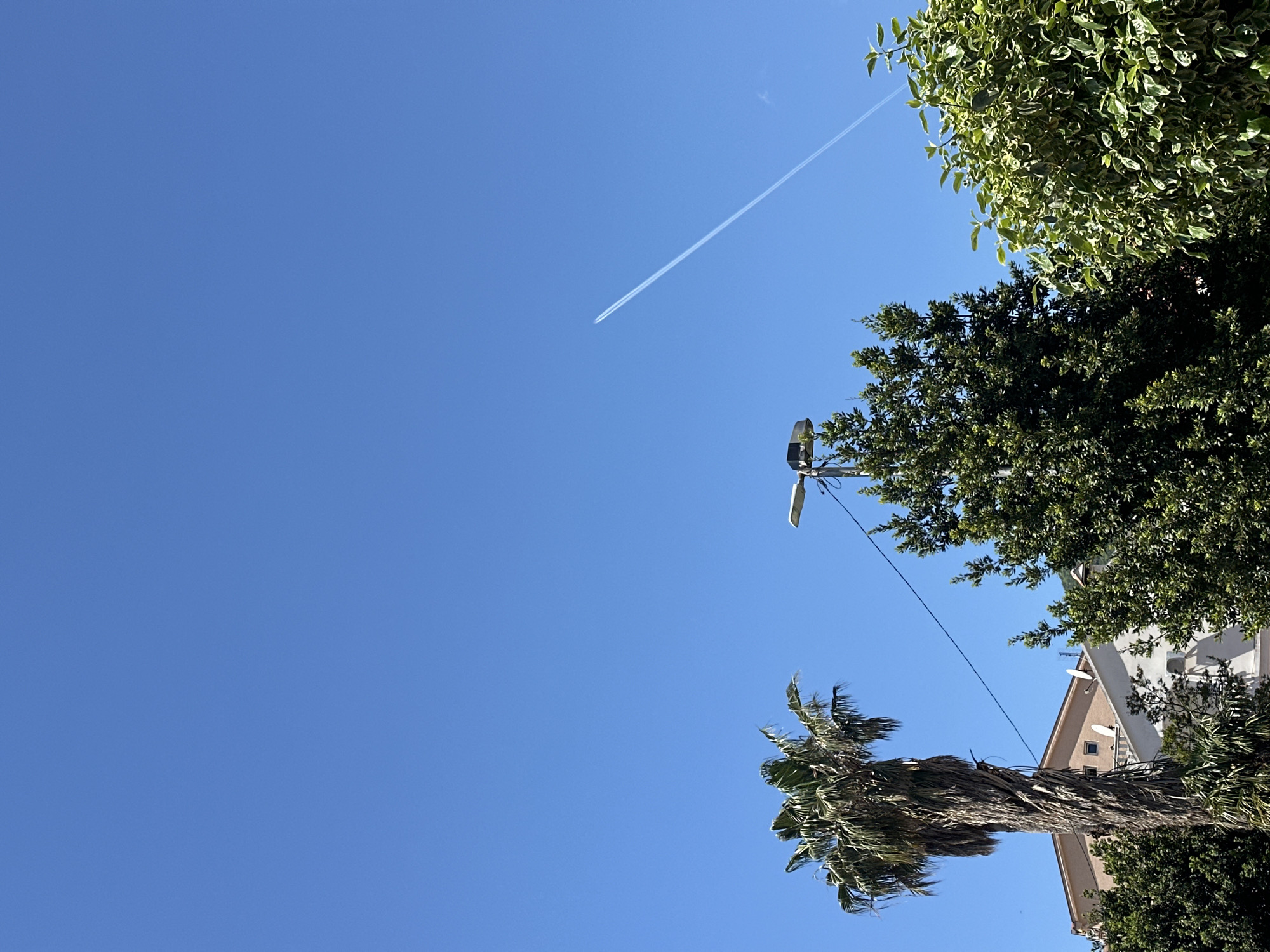 The image shows a clear blue sky with a contrail stretching across the upper part of the frame. In the lower part of the frame, there are treetops, including a palm tree, a street light, and a building. The location appears to be Budva, Montenegro, given the presence of the palm tree and building style, typical of the Mediterranean coastal regions. There are no people visible in the image.
