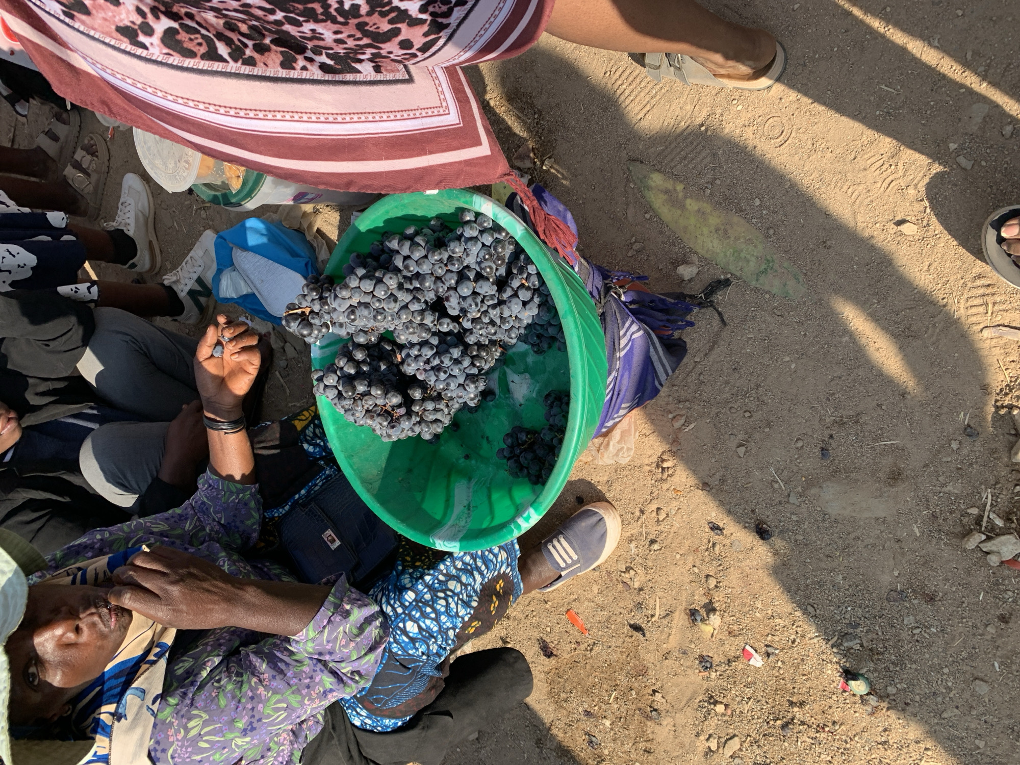 A woman in a light-colored hat and a patterned purple and green top is sitting outdoors on a dirt ground in Dodoma, Tanzania. She is holding a small bunch of dark grapes in her right hand and appears to be eating one. In front of her is a large green bowl overflowing with dark grapes. She is wearing a blue and white patterned skirt. Her left arm is resting on her lap and she has a dark bracelet on her wrist. Next to the bowl is a blue plastic bag. Further to the right, partially visible, is another person wearing a pink and black patterned garment and white sandals. The ground is covered in dirt, small stones, and shadows cast by the sun. There are a few other scattered items on the ground, including small pieces of colored paper and what appears to be a long, light-colored vegetable. The scene suggests a marketplace or roadside stall environment.