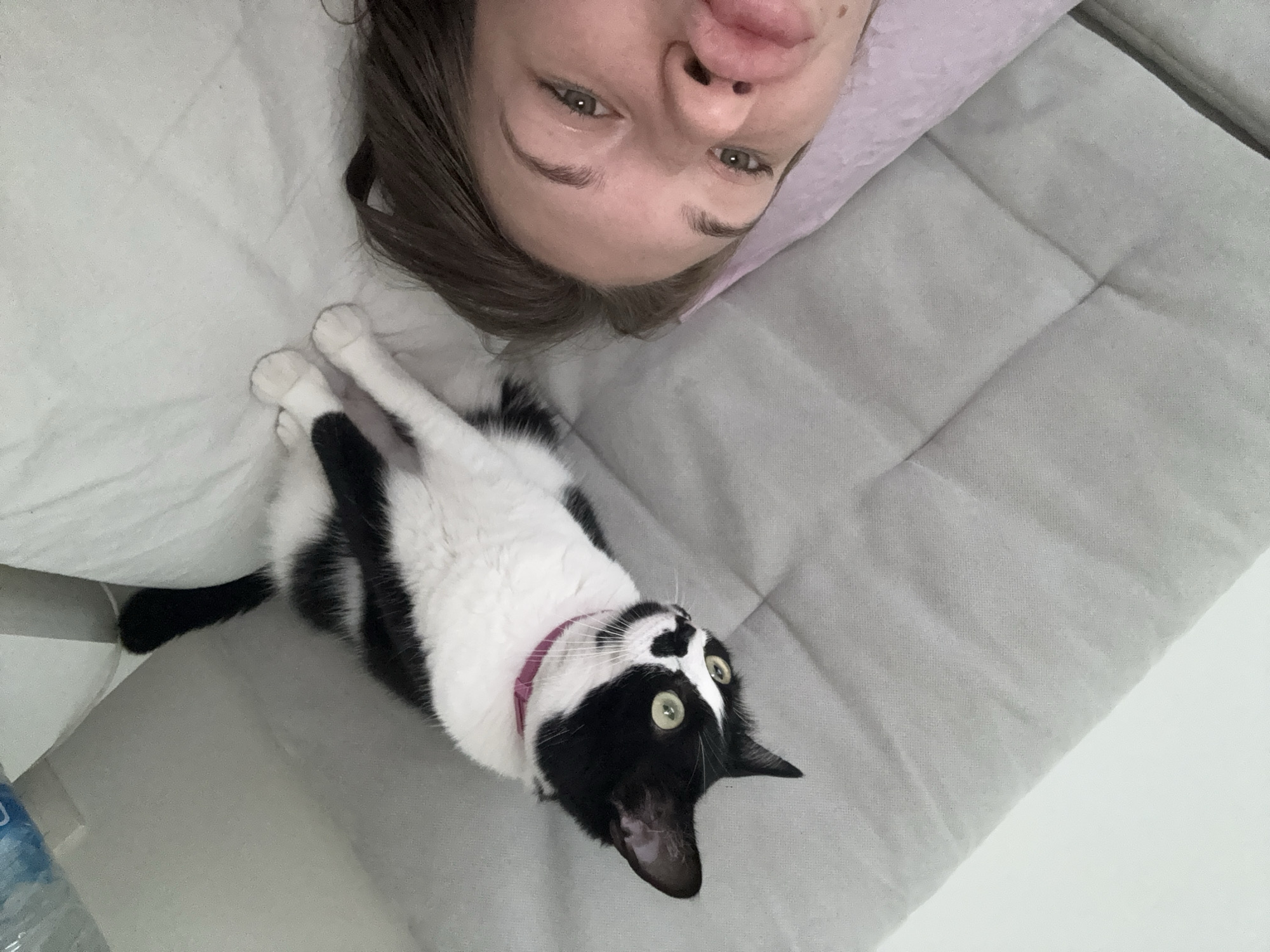 In a domestic indoor setting, likely a bedroom or living area, a person is lying down and taking a selfie. The person has fair skin, brown hair, and is wearing makeup. Their mouth is slightly open, and their lips appear full. Beside them, a black and white cat with green eyes and a pink collar is perched on a soft, grey, textured surface, possibly a couch or bed. The cat is looking off to the side with an alert expression. The background shows a white wall and a partially visible plastic bottle of water. The scene does not contain any indicators to suggest a specific location in Belgrade, Serbia.