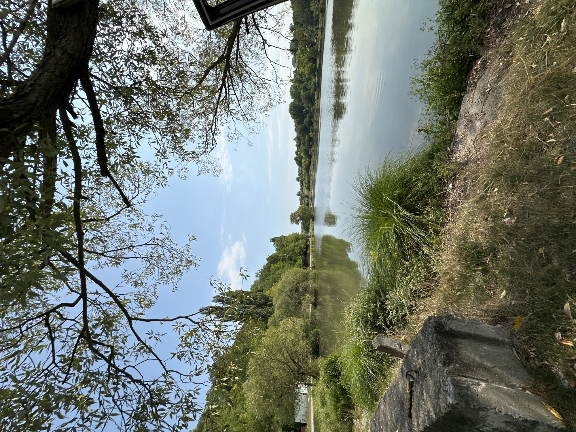 This is a landscape photograph taken on a clear day in Makiv, Ukraine. The image captures a serene body of water, likely a lake or pond, bordered by lush green trees and vegetation. In the foreground, a weathered concrete structure is partially visible on the left, with dry grass and some fallen leaves. Tall, green grasses grow along the water's edge. The water itself is calm, reflecting the blue sky and the surrounding trees. On the far bank of the water, a dense line of trees stretches across the horizon, with some buildings subtly visible amongst them. The branches of a large tree hang into the frame from the top, creating a natural canopy. The scene is tranquil and idyllic, suggestive of a natural park or recreational area. There are no people or animals visible in the image.