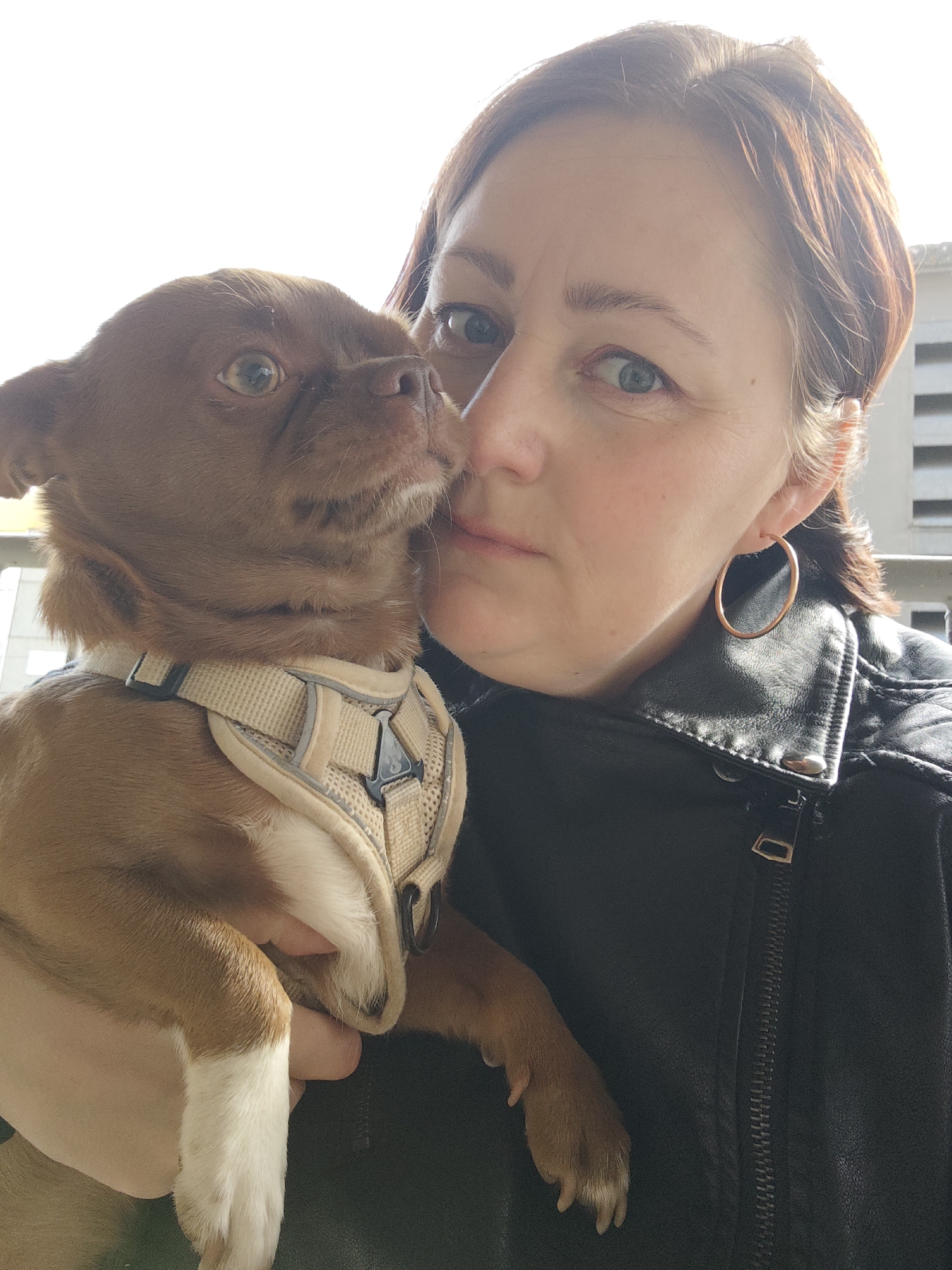 The image captures a close-up selfie of a woman holding a small dog. The woman, with short to medium-length reddish-brown hair, is looking directly at the camera with a calm expression, her lips slightly parted. She has light-colored eyes and is wearing a black leather jacket with a zippered front and a visible copper-toned hoop earring on her right ear.
The small dog, likely a Chihuahua or similar breed, has short, reddish-brown fur with white markings on its chest and paws. It is wearing a light-colored, possibly beige, harness with reflective accents and a dark-colored buckle. The dog is held up close to the woman's face, looking upwards towards her, appearing to nuzzle or sniff her cheek. Its light-colored eyes are prominent.
The activity depicted is a pet owner interacting affectionately with her dog, captured in a selfie. The scene is brightly lit by natural light, suggesting it is daytime and sunny. The background is largely overexposed and blurry, showing hints of light-colored building structures or railings, suggesting an outdoor setting such as a balcony or street. The emotional tone is one of affection and connection between the woman and her pet. No visible text is present in the image. The location context for this photo is Марковский, Russia.