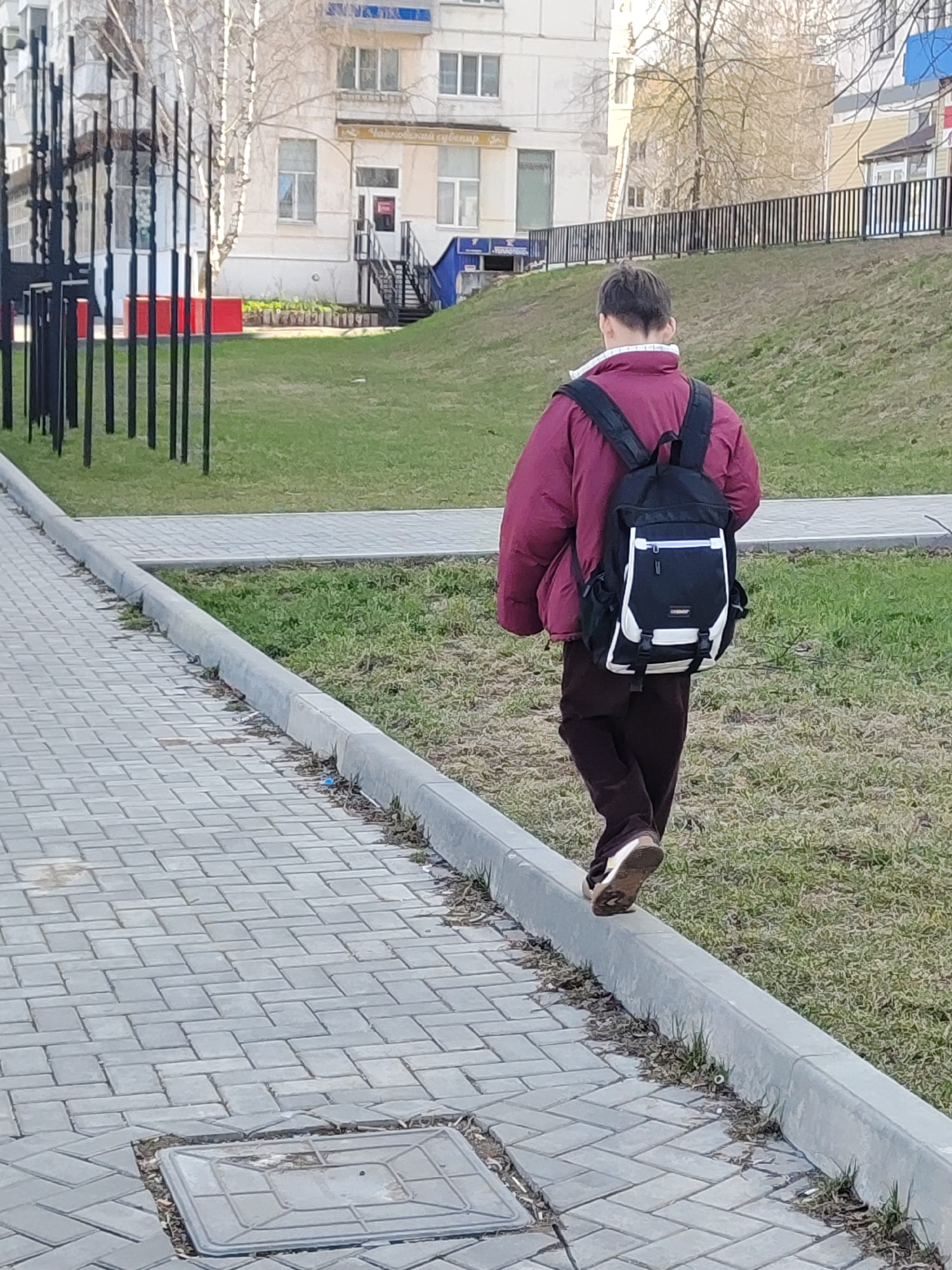 The image captures an individual from behind, walking and balancing on a concrete curb in an urban outdoor environment. The person wears a maroon or burgundy jacket, dark trousers, and a black backpack with white accents. They are moving away from the viewer.
To the left of the curb is a paved sidewalk constructed with grey interlocking bricks, featuring a square metal utility cover in the foreground. To the right of the curb, a grassy slope rises gently. In the mid-ground and background, the landscape includes bare trees, suggesting early spring or late autumn.
A light-colored building with several windows is prominent in the background. Above one of its entrances, Cyrillic text "Чайковский сувенир" (Chaikovsky Souvenir) is visible, indicating the location as Chaikovsky, Russia. A black metal fence or a series of tall poles stands vertically on the far left side of the scene. The lighting suggests a bright, dry day.