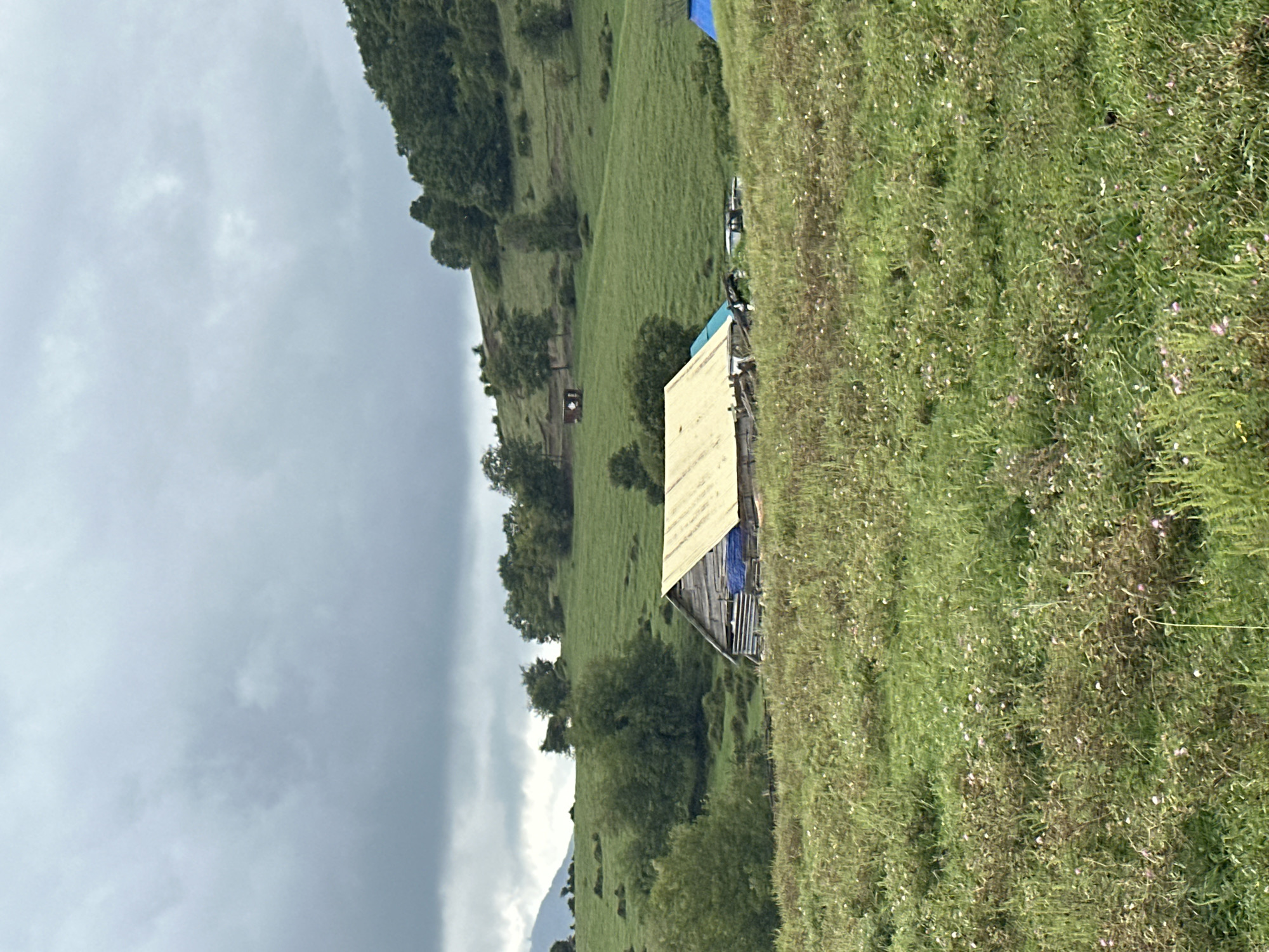 The image depicts a rural landscape with a wooden structure and rolling green hills under a cloudy sky. In the foreground, a grassy field is dotted with small pink and white flowers. A weathered wooden barn with a yellow tarp for a roof is centrally located, with blue tarps visible on its side. To the right of the barn, there are several vehicles. Further back on the hillside, a smaller red structure is visible, along with scattered trees. The overall scene suggests a pastoral or possibly abandoned setting. There are no people visible in the image. The location is identified as the city of Galitsyno, Russia.