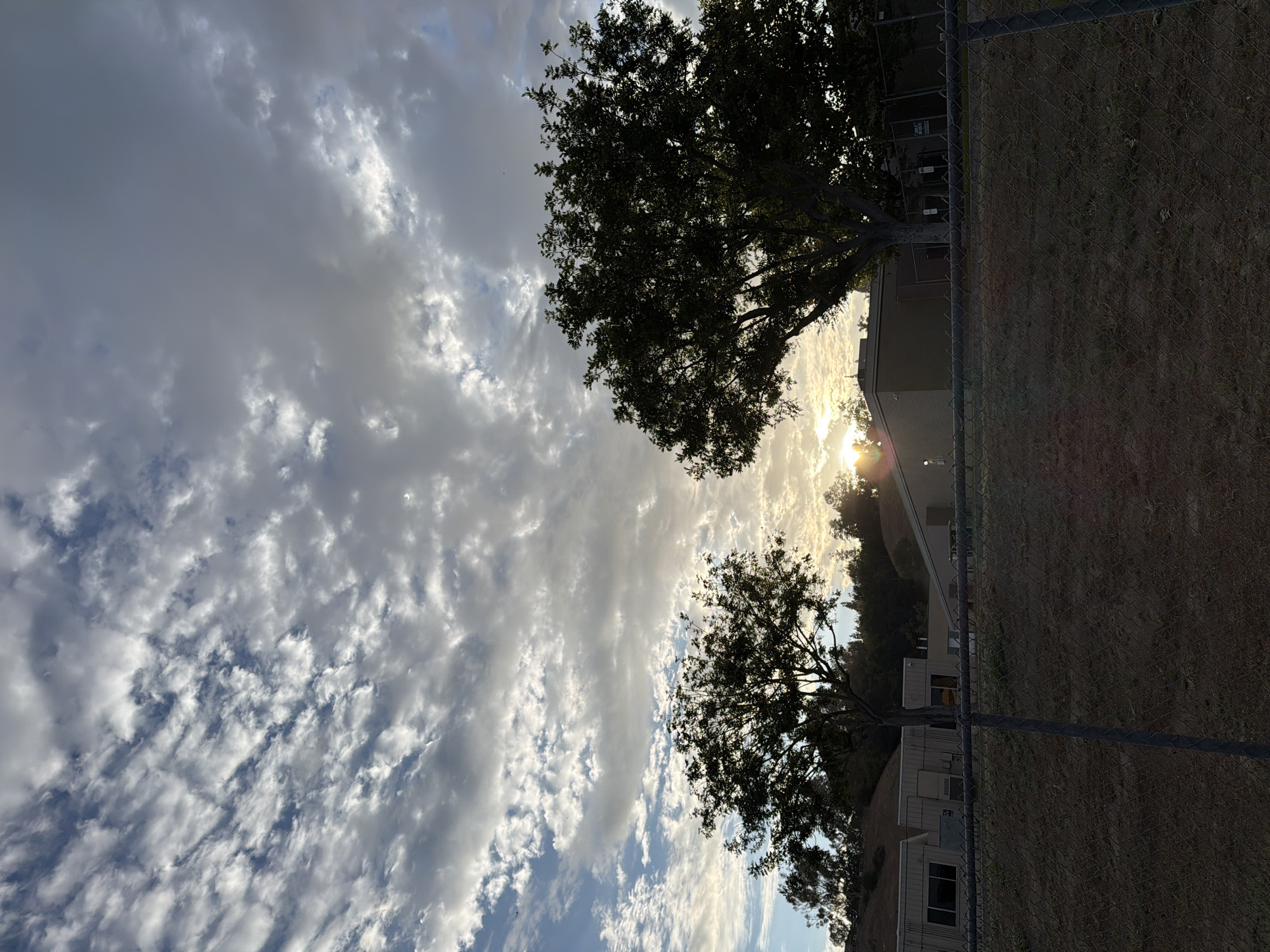 The image shows a school building with a chain-link fence in the foreground. The sky is filled with clouds, and the sun is setting behind two large trees. The buildings appear to be single-story structures, possibly modular classrooms or administrative offices. The landscape is dry and grassy, suggesting a warm climate. The fence is made of metal posts and wire mesh. The trees are silhouetted against the bright sky, with the setting sun creating a lens flare. The scene is serene and quiet, with no people or animals visible. The location is identified as Laguna Niguel, United States of America, likely a public school campus given the architecture and fencing.