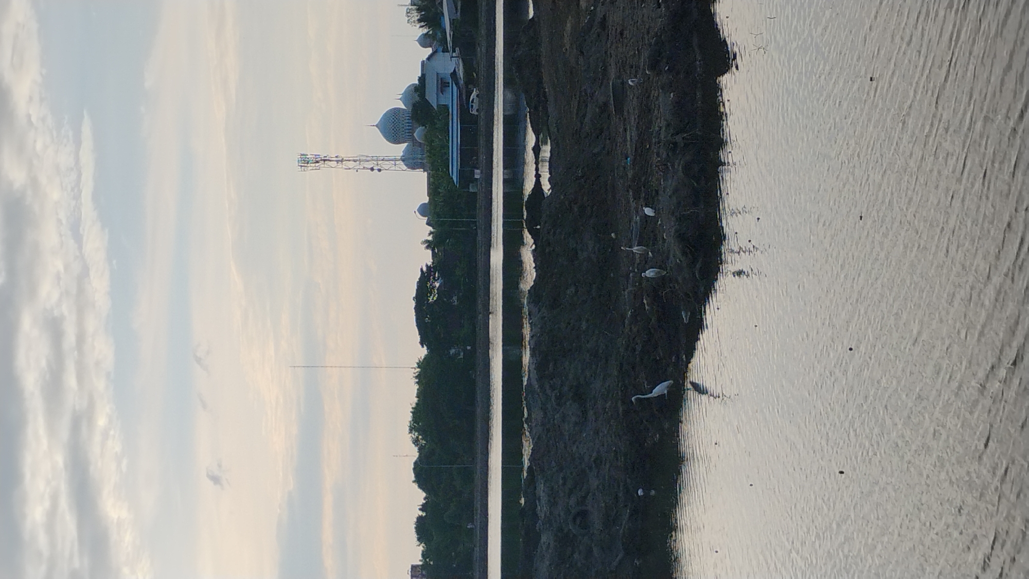 The image depicts a tranquil scene near the mosque of the Ar-Raudhah in the city of Lhokseumawe, Indonesia. The sky is overcast with soft, diffused light, hinting at either early morning or late afternoon. In the foreground, a body of calm water reflects the muted tones of the sky. The middle ground features a muddy, excavated area with several white egrets wading and standing. These birds are the primary subjects in this section of the frame. Beyond the water and the muddy bank, a line of lush green trees forms a natural barrier. In the distance, the distinctive domes of the Ar-Raudhah mosque are visible, flanked by other buildings and a tall telecommunications tower. The overall impression is one of peaceful coexistence between nature and man-made structures in this coastal Indonesian city.