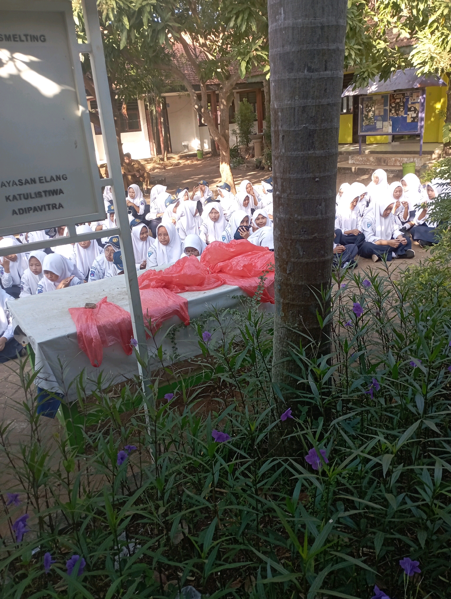 In Banyuurip, Indonesia, a group of students are gathered outdoors. Many of the students are wearing white hijabs and uniforms. They are seated on the ground and on a raised platform covered with a white sheet, which is also draped with red plastic bags. A large tree trunk is prominently in the foreground, and lush green plants with purple flowers are visible in the lower portion of the image. In the background, a building with a yellow accent and a bulletin board with various notices can be seen, along with trees and other vegetation. The overall scene suggests an outdoor educational or community event.