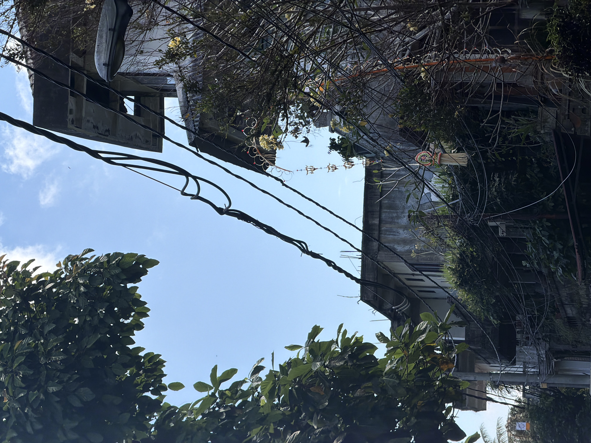 In the city of Ubud, Indonesia, a street scene unfolds beneath a clear blue sky dotted with faint clouds. Overhead, a dense canopy of dark green leaves from a large tree frames the upper left portion of the image. Below, a complex network of black electrical wires crisscrosses the frame, forming an intricate web against the sky and obscuring parts of the buildings.
To the right, a weathered concrete building rises, its upper floors partially visible. A street lamp, a typical urban fixture, protrudes from the side of the building. The building's facade shows signs of age and wear, with peeling paint and exposed concrete. Lush green vegetation and smaller trees grow around and on the building, some appearing as if they are attempting to reclaim the structure.
Hanging from a wire in the mid-ground, a decorative element, possibly a religious or cultural ornament, is visible. It features a circular top with intricate patterns in red and gold, from which hang strands of white, fringed material. Further down, smaller decorative elements in a gold hue hang in a vertical line. The overall impression is one of a dense, vibrant, and somewhat chaotic urban environment where nature and human infrastructure are intertwined. The scene appears to be captured during daylight hours, with the sun casting shadows and highlighting textures.