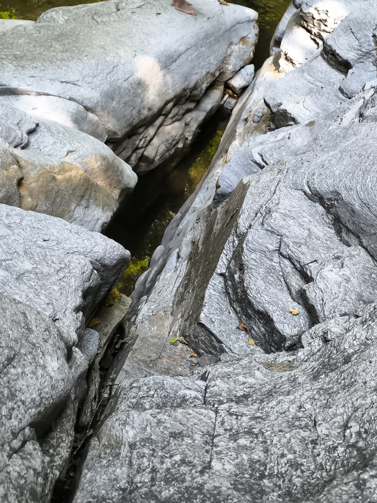 The image depicts a narrow gorge with smooth, grey rock formations. A small stream of clear, greenish water flows through the bottom of the gorge. Some fallen leaves are visible amongst the rocks. The scene appears to be a natural landscape, possibly in or around Kovachevitsa, Bulgaria, known for its rugged terrain and natural beauty. There are no people or any other notable objects in the image besides the rocks and water.