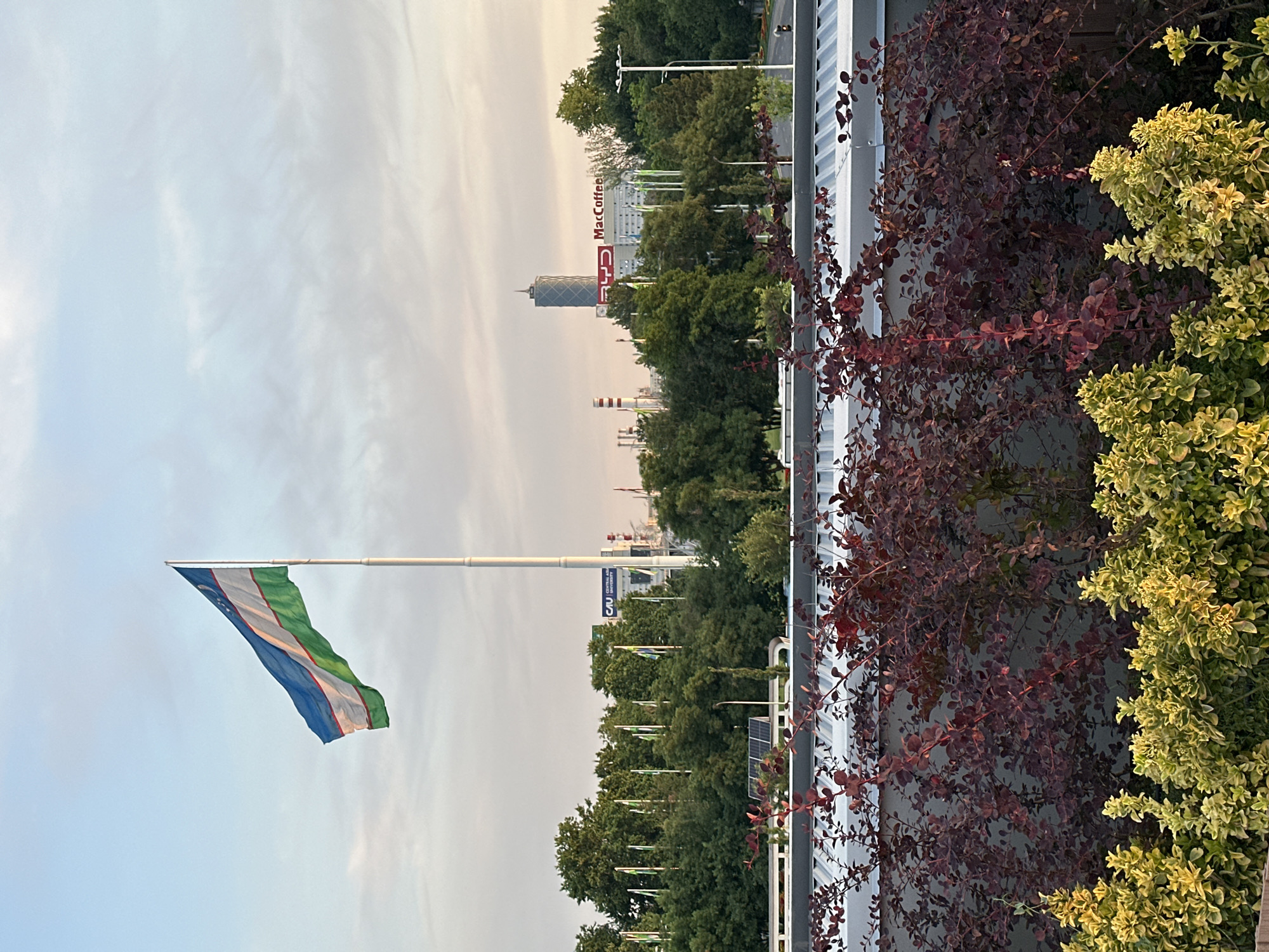 The image depicts a street scene in Tashkent, Uzbekistan. A large Uzbekistani flag waves prominently on a tall flagpole against a cloudy sky. Behind the flag, a line of smaller flags extends along a tree-lined street. In the background, a modern skyscraper and commercial buildings are visible, including a sign for "MacCoffee." The right side of the image features part of a building with burgundy and green vegetation growing on it. The photograph is taken from a slightly elevated perspective.