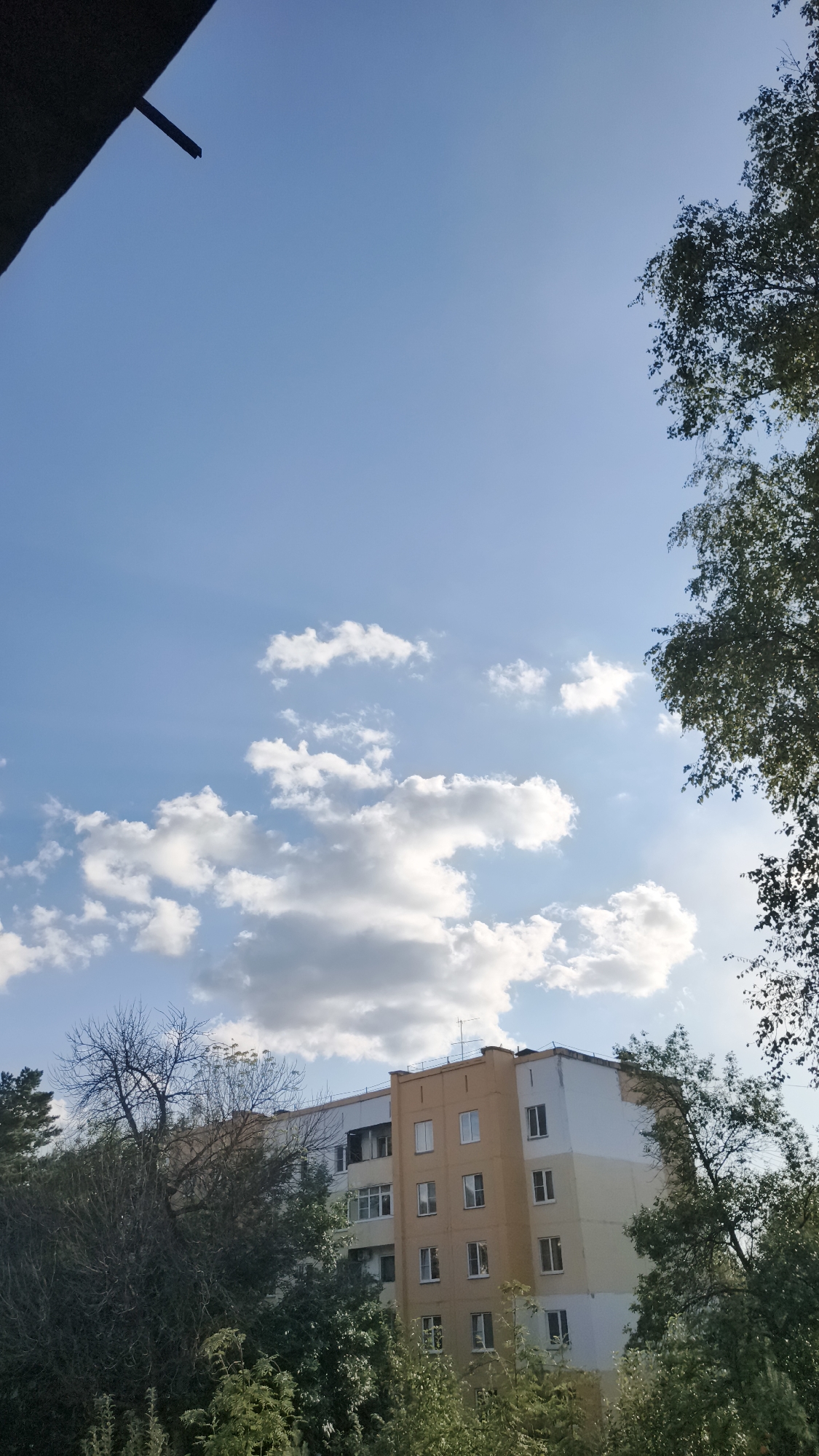 This is a medium shot, eye-level, outdoor photograph taken in Kaltan, Russia. The image depicts a building with a pale yellow and white facade, situated behind a dense arrangement of green trees and foliage. The building has several floors, with numerous windows visible, some of which are dark. In the upper portion of the frame, a clear blue sky is punctuated by scattered white cumulus clouds. The top left corner of the image is partially obscured by a dark, angular object, possibly a roof or overhang. The overall lighting suggests it is daytime.