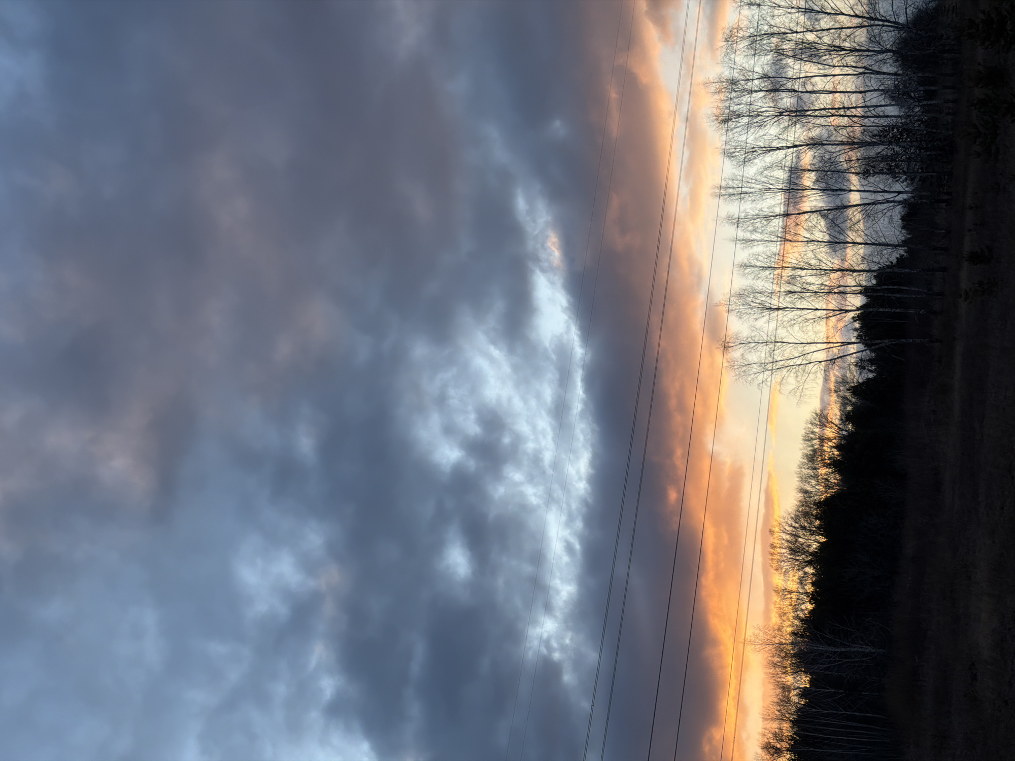 The image captures a dramatic sunset or sunrise over a landscape, viewed from a slightly upward angle. The scene is dominated by a vast sky, split between dark, heavy grey-blue clouds on the left and a vibrant band of orange and yellow light on the right horizon.
Stretching across the middle of the frame are multiple parallel power lines, cutting diagonally from the upper right towards the lower left, silhouetted against the sky. Below these lines, on the right side of the image, is a row of bare-branched deciduous trees, likely birches due to their light-colored trunks, standing starkly against the colorful sky. Behind them and further to the right, a darker, denser forest line is visible. The immediate foreground on the right appears to be a field or open ground, dark and indistinct.
The time of day is clearly either sunset or sunrise, given the intense warm hues illuminating the clouds near the horizon and filtering through the tree branches. The clouds range from a deep, somber grey and blue to bright, almost white patches where the sun's light catches them. The bare trees suggest a season of late autumn, winter, or early spring. There are no people or visible text in the image. The overall impression is one of natural beauty and the changing light of the day, possibly in a rural or semi-rural setting in Krasnoyarsk, Russia.