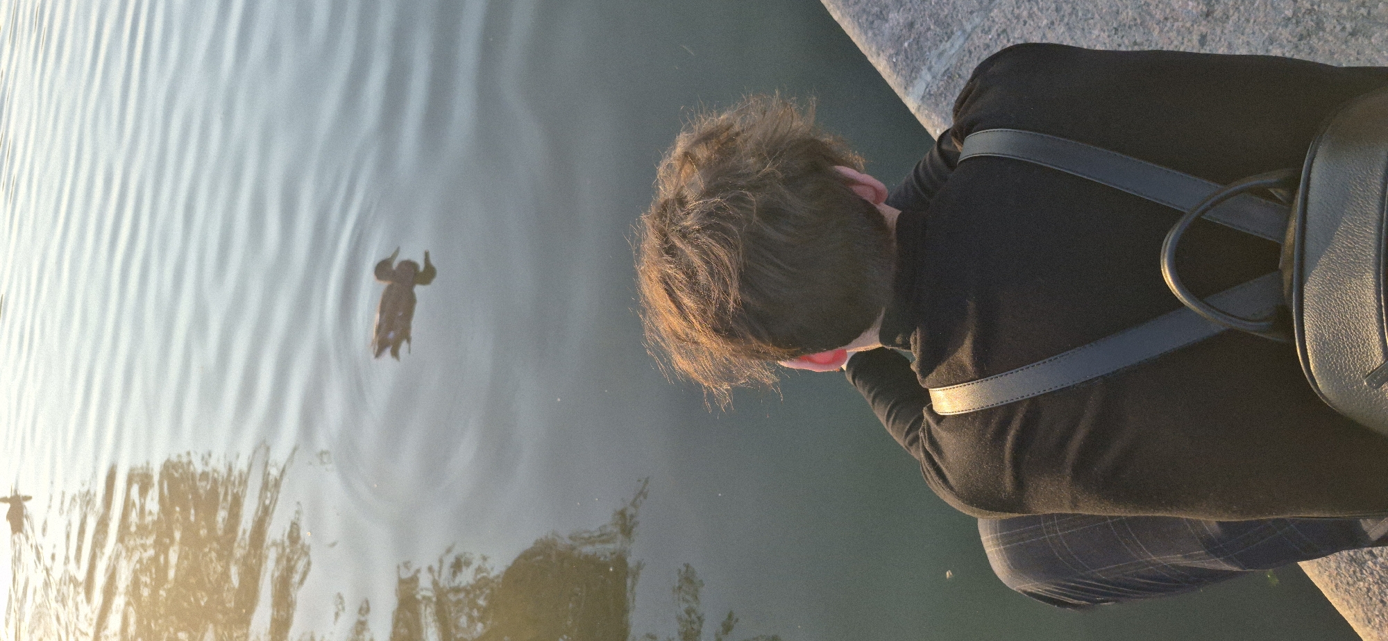 In this image, a person is seen from behind, leaning over the edge of what appears to be a body of water, possibly a pond or a canal, with ripples on its surface. The person is wearing a dark long-sleeved shirt and dark pants with a plaid pattern. A black backpack is slung over their shoulders. Their head is turned to the left, looking down at the water. A small, dark object, possibly a frog or a leaf, is visible floating in the water to the left of the person. The water reflects the light, suggesting it might be a sunny day, and the golden hues in the reflections indicate it could be late afternoon or early morning. The scene is set outdoors, with the edge of the water featuring a textured surface, possibly a stone embankment. The overall mood is one of quiet observation or contemplation, with the focus on the interaction between the person and the natural element of the water. The location is specified as Pushkin, Russia. There is no visible text in the image.