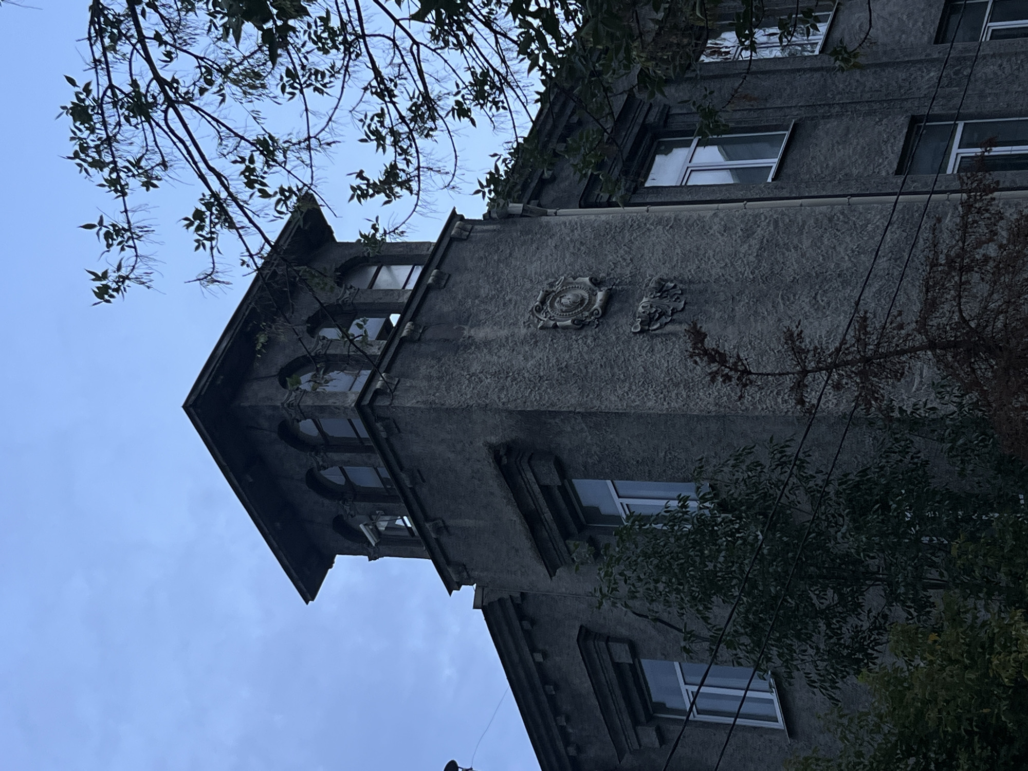 The image depicts the exterior of an old, weathered, grey concrete building, possibly an educational institution or administrative building, in Nizhny Novgorod, Russia. The architecture suggests an early 20th-century or Soviet-era design, featuring a prominent tower with arched windows at the top and decorative relief sculptures on its facade. The building's texture is rough and somewhat deteriorated, with visible signs of aging.
Several trees with green and brown foliage are present around and against the building, some appearing to grow close to the structure. Overhead power lines are strung across the view, crossing in front of the building and its windows. The sky is overcast and a pale blue, indicating a cloudy day. The lighting is dim, consistent with an overcast sky or late afternoon. No people are visible in the image. The scene conveys a sense of age and perhaps neglect.