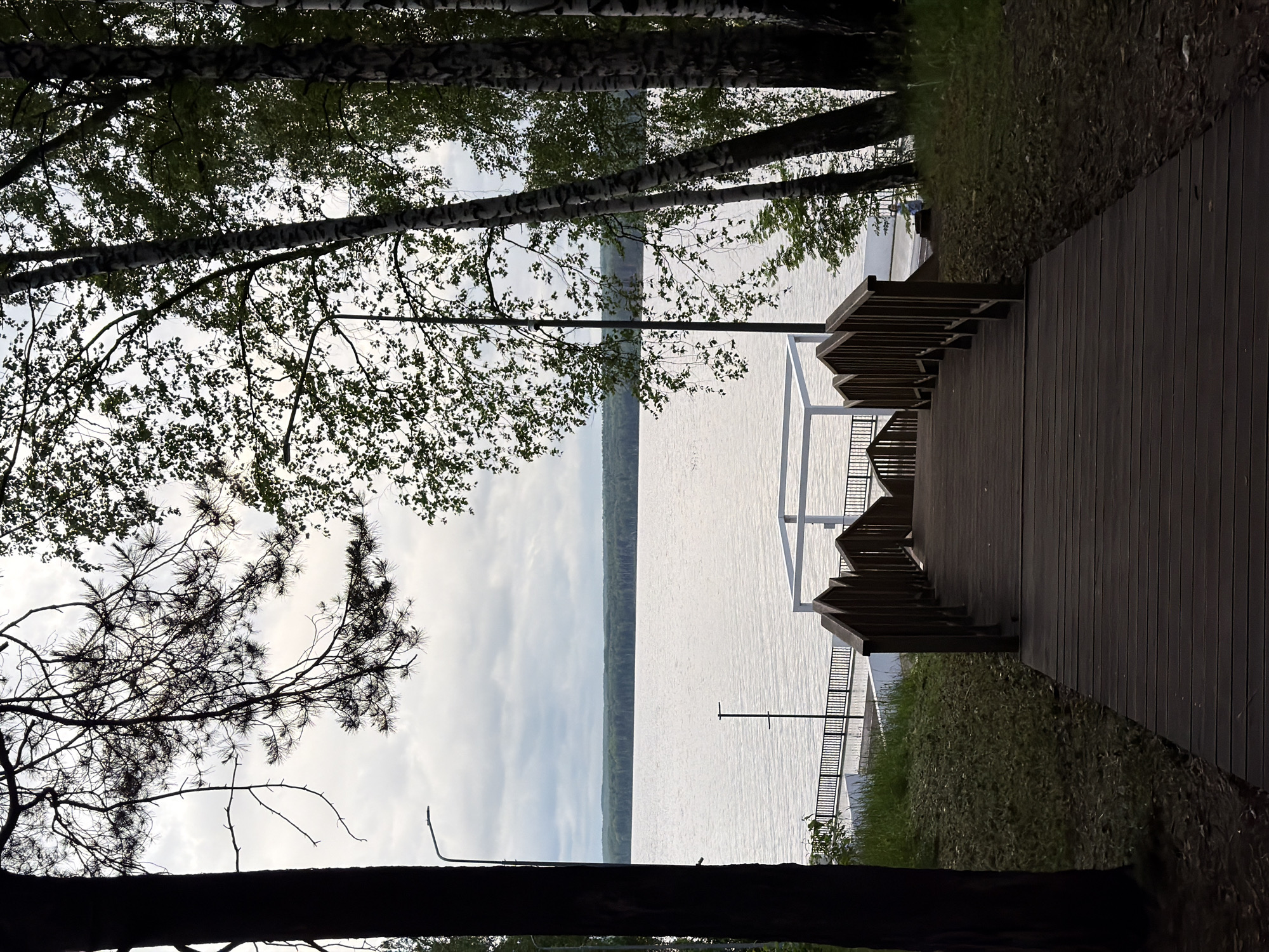 This image depicts a descending wooden walkway leading to a waterfront scene in the city of Chaikovsky, Russia, under an overcast sky.
In the immediate foreground, a dark brown wooden walkway with matching railings on both sides occupies the central lower portion of the frame, guiding the viewer's eye towards the water. To the left, a thick, dark tree trunk, likely from a conifer, is partially visible. To the right of the walkway, a patch of green grass transitions to lighter brown earth.
The midground features the terminus of the walkway at a paved or concrete area adjacent to a large body of water, presumably a lake or wide river. A black metal fence or railing runs along the water's edge. A prominent white, cuboid, open-frame structure is positioned on the concrete platform to the left of the walkway's end. A tall, slender black lamppost with a modern horizontal LED fixture stands to the left of the walkway. Another shorter, dark pole is visible closer to the water on the right. A single, small human figure, dressed in light-colored clothing, is distantly visible on the right side of the paved area near the water. To the right, several slender birch trees with distinct light-colored bark patterns and green foliage line the bank.
The background is dominated by a vast expanse of calm, light-grey water, exhibiting subtle surface ripples. Beyond the water, a dense, dark green forest line stretches horizontally across the entire horizon, forming the distant bank. Above the distant forest, the sky is uniformly overcast with light grey clouds.
In the upper portion of the image, dark, silhouetted branches with pine needles extend from the tree on the far left. The upper right corner shows the dappled green foliage of deciduous trees, likely birches, against the cloudy sky.