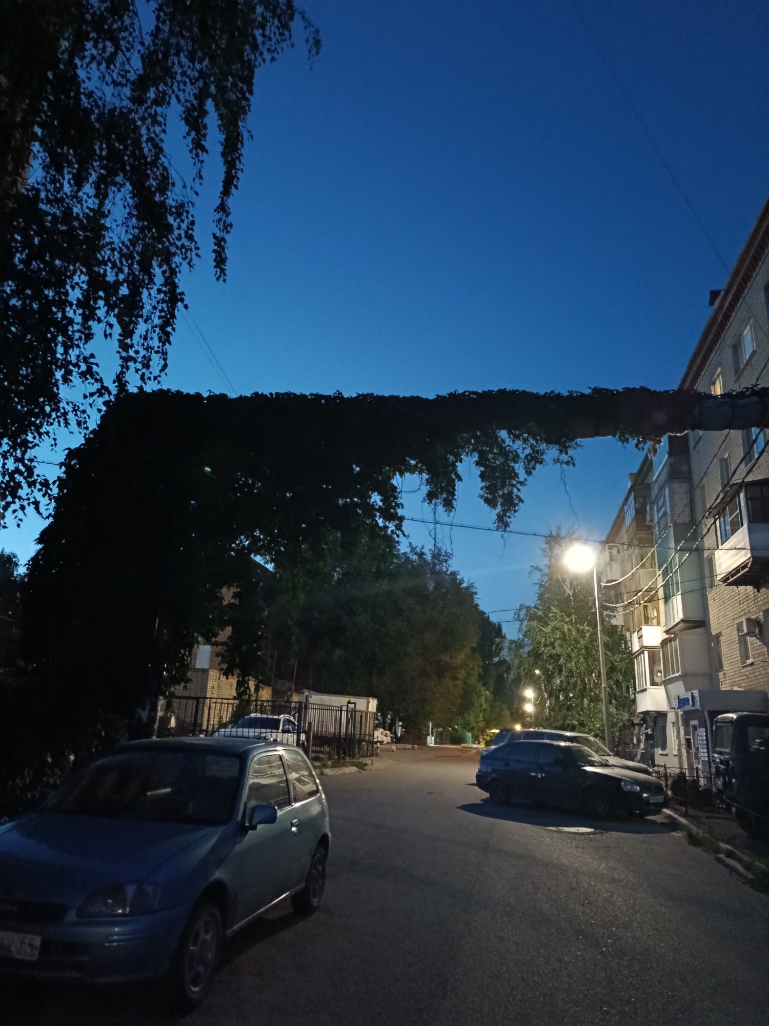The image depicts a street scene at dusk or early night in Saratov, Russia. The sky is a deep blue. In the foreground, a light blue hatchback car is parked on the left side of the asphalt road. Further down the street, a dark sedan and another dark vehicle are parked on the right. An apartment building with multiple stories and balconies lines the right side of the street. Overhanging the street, a thick vine-covered pipe runs horizontally, with tree branches extending from the left side of the frame. Streetlights are visible, illuminating the road and the building. The overall impression is a quiet residential street in an urban environment.