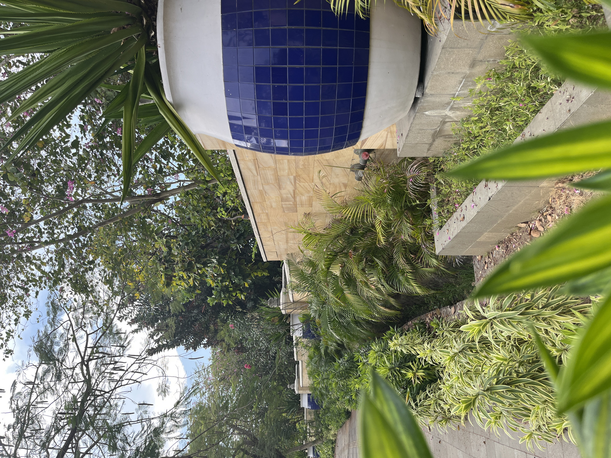 The image depicts a serene outdoor scene, likely a park or garden area, located in Kuta Selatan, Indonesia. The foreground is dominated by lush green foliage, with the bright green leaves of a plant in focus, blurring the immediate background. To the right, a large, white ceramic pot with a distinctive blue tiled pattern stands on a stone base, housing a tall, spiky green plant. Behind the pot, a light brown brick wall stretches horizontally across the frame, adorned with decorative pillars topped with small sculptures, suggesting a well-maintained landscape. A pathway, paved with grey interlocking stones, runs along the left side of the image, bordered by an array of tropical plants, including various types of palms and shrubs with variegated leaves. Further back, a dense arrangement of trees with lush green canopies and some with delicate pink flowers create a natural backdrop. The sky above is partly cloudy, with a few wispy clouds visible through the branches of the trees. The overall impression is one of a tranquil and visually appealing environment, characteristic of resort areas in Kuta Selatan. There are no people or animals visible in the scene.