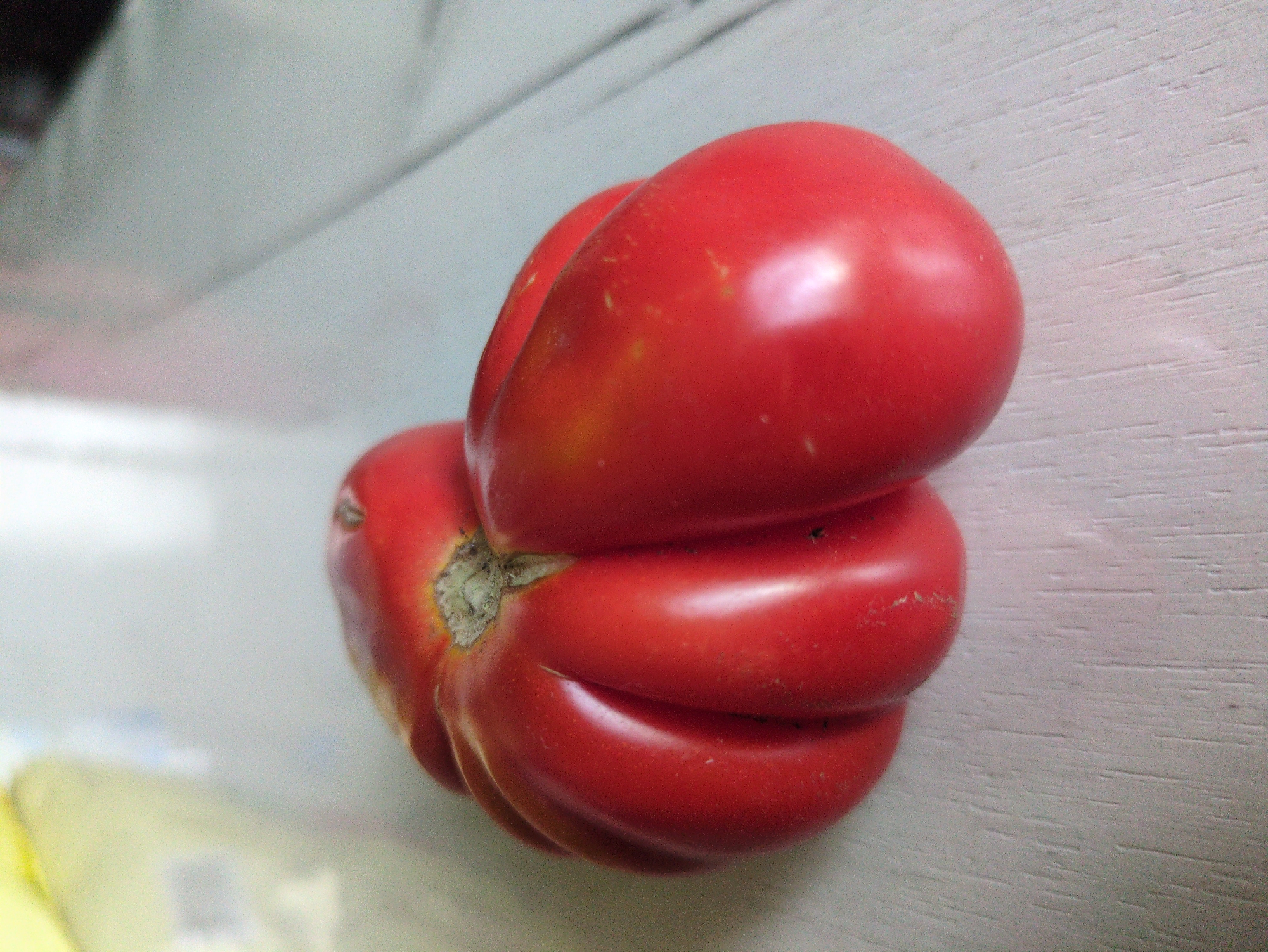 This is a close-up, eye-level, medium shot of two irregularly shaped, ripe red tomatoes resting on a light-colored, textured surface that appears to be a table. The tomatoes are positioned side-by-side, with the left tomato exhibiting deeper indentations and ridges, while the right tomato is smoother and more elongated. The surface beneath them has a wood-grain texture with subtle vertical lines. The background is blurred, showing soft, out-of-focus areas of light yellow and white, suggesting an indoor environment. No people or actions are depicted. The scene is static and focuses solely on the produce. There is no information in the image that would allow for the determination of its location in the city of Kulebaki, Russia.