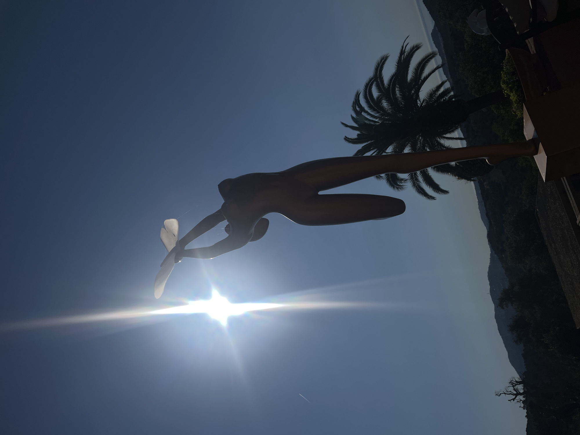 The image shows a bronze statue of a nude female figure with arms outstretched in front of a bright sun, possibly as part of a garden display. A palm tree stands behind the statue, with a view of mountains in the distance on the right side of the image.