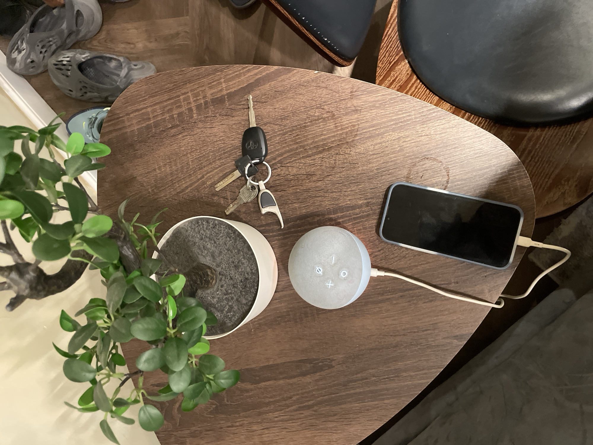 An overhead shot captures a collection of everyday items arranged on a dark brown, wood-grain side table, set in an indoor environment in Abuja, Nigeria.
On the left side of the table, a small artificial plant with lush green leaves is housed in a white cylindrical pot with a textured gray base, giving the impression of soil or pebbles. To the right of the plant, a set of keys hangs from a metal keyring, featuring a dark car remote with a visible Toyota logo, several smaller metal keys, and a silver and black carabiner clip.
Adjacent to the keys and in the center of the table is a light gray Amazon Echo Dot (likely a 4th generation model), with its illuminated control symbols for volume up, volume down, action, and mute clearly visible. Further to the right, a dark-colored smartphone lies horizontally, connected by a white charging cable that trails off the table towards the lower right. The phone's screen is dark, but its light-colored bezel or screen protector is apparent.
In the background, on a lighter brown floor, two pairs of grey foam clogs, resembling Yeezy Foam Runners, are visible. Above the keys and slightly out of frame, a dark, round, cushioned object, possibly a chair seat, is partially visible. A dark grey blanket or fabric is draped in the lower right background. The indoor lighting conditions suggest evening or a dimly lit space, creating a warm, comfortable ambiance.