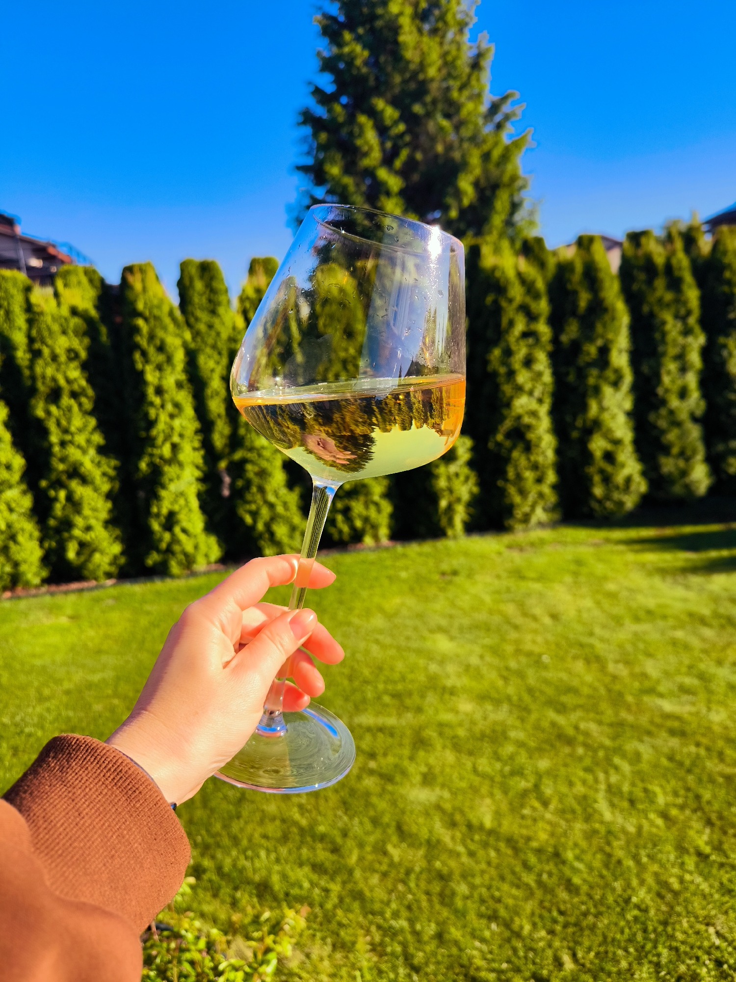 A hand holds a glass of liquid in front of a green lawn and a row of tall, green, cone-shaped trees. The sky is blue. The background has a blurred focus.