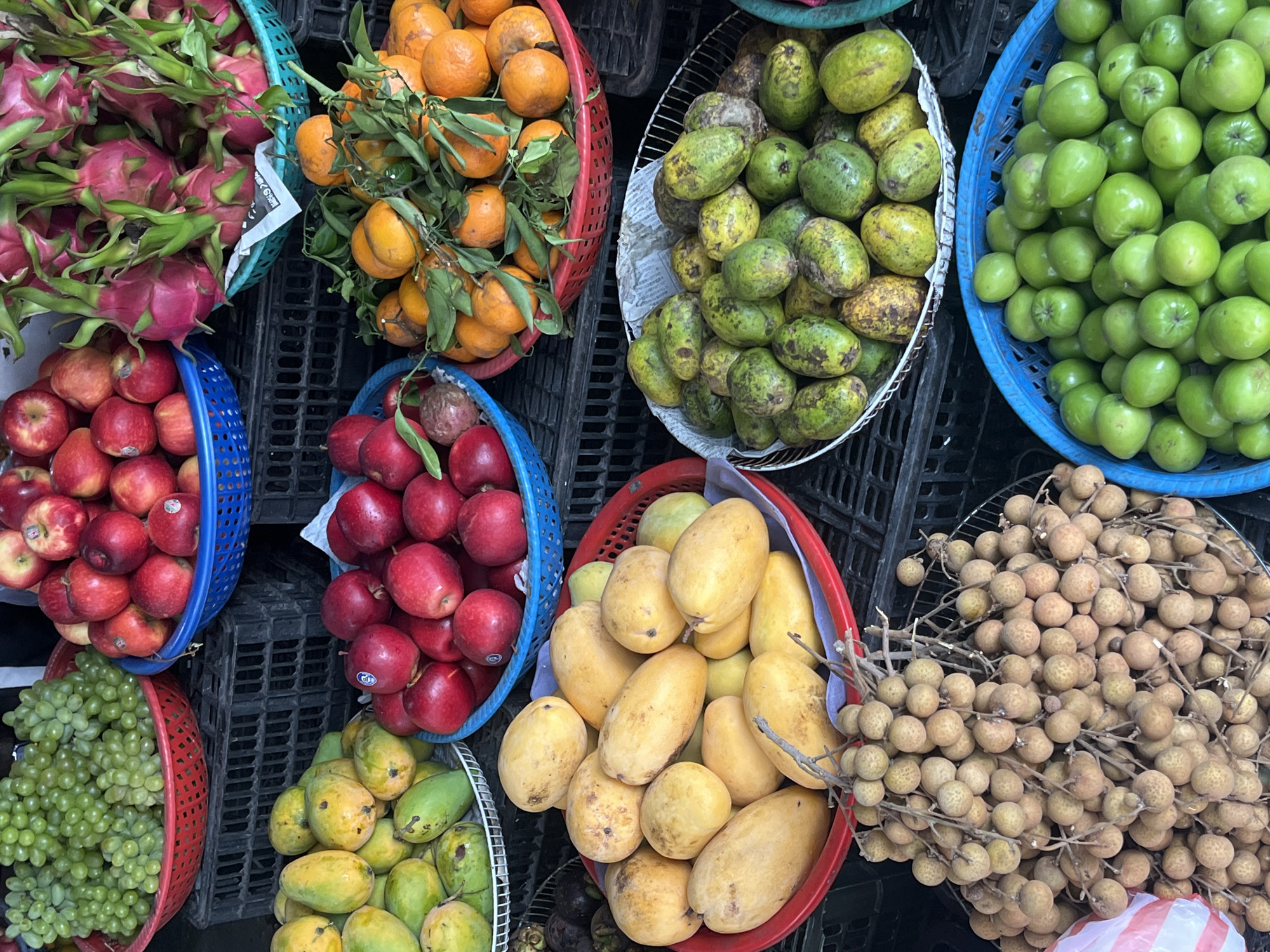 This vibrant, overhead shot captures a bustling fruit display at what appears to be a market stall in Đà Nẵng, Vietnam. The scene is dominated by an abundance of fresh, colorful fruits neatly arranged in various baskets, suggesting they are prepared for sale.
In the upper left, a light blue plastic basket overflows with striking pink dragon fruits, characterized by their green-tipped scales and exotic appearance. Next to them, a red plastic basket holds numerous oranges, many still attached to small leafy branches, indicating their freshness. Below these oranges, a blue plastic basket is filled with shiny red apples.
To the right, a white wire basket contains a pile of oval-shaped, green and yellow fruits, likely ambarella (also known as hog plums), with some displaying blemishes. Adjacent to this, a bright blue plastic basket is brimming with small, round, uniformly green fruits, which appear to be fresh jujubes.
Further down, a red plastic basket showcases bunches of light green grapes. Next to it, another red plastic basket holds a large collection of ripe yellow and green mangos. The lower right section features a white wire basket filled with numerous longans on their branches, characterized by their small, spherical, light brown skins. Another blue plastic basket in this area also contains red apples.
The fruits are displayed in a mix of colorful plastic baskets (red, blue, light blue) and white wire baskets, placed on or around dark, stacked plastic crates that serve as a base, common in market settings. A small white piece of paper with some black text, possibly Japanese characters, is visible among the dragon fruits. The overall impression is one of freshness, variety, and an inviting display of tropical produce.