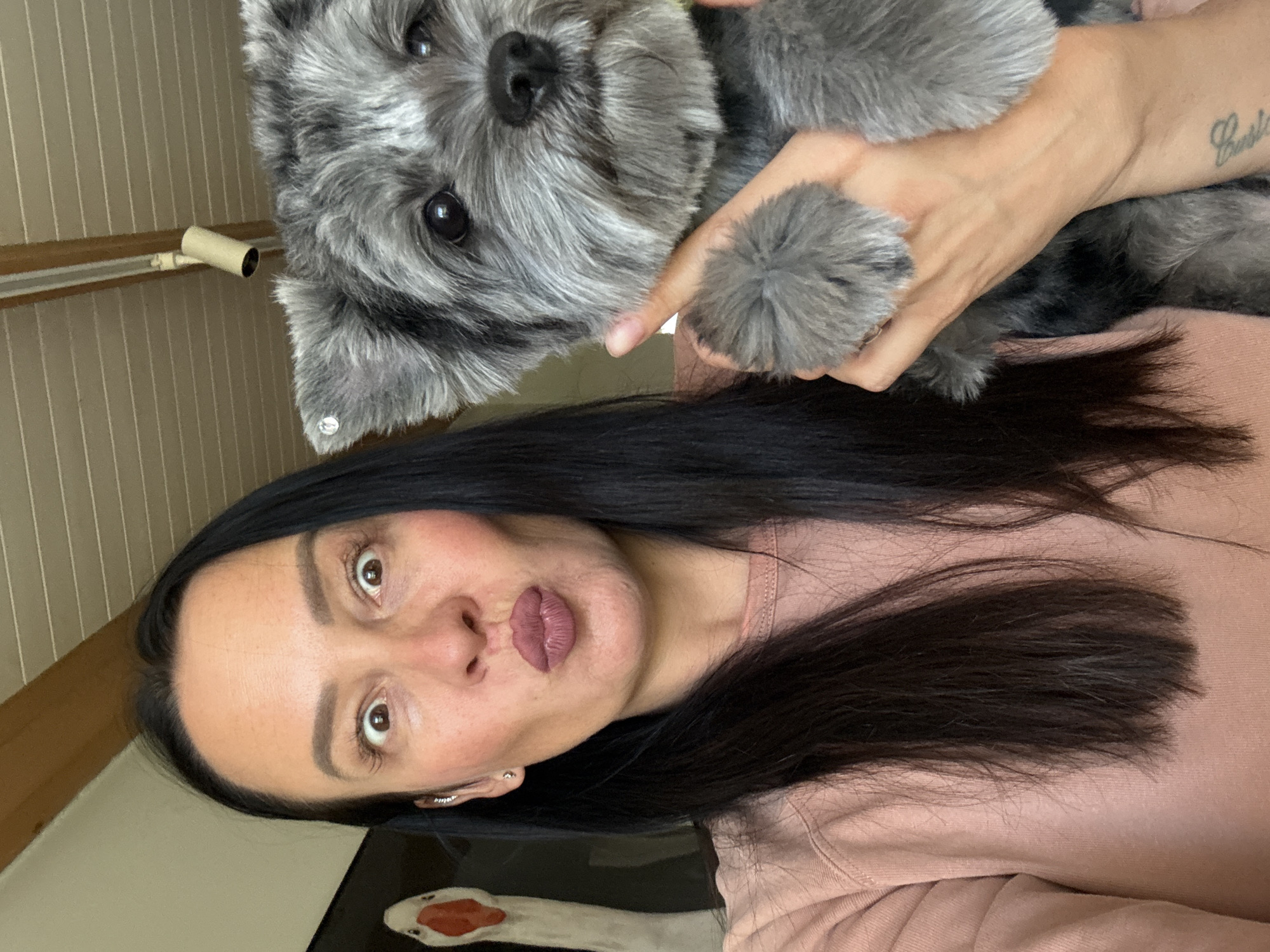 The media file shows a close-up, selfie-style shot of a woman and a dog. The woman has long, dark hair, brown eyes, and is wearing a pink top. She is making a kissing face. The dog is a small, grey schnauzer-type breed, held by the woman. The dog has dark eyes and a black nose. The background appears to be an indoor setting with a pale, vertically striped wall and a light fixture. There is a tattoo on the woman's arm, and the word "Carla" is visible. The image seems to be taken during the daytime. The woman's expression suggests a playful or affectionate moment with the dog.