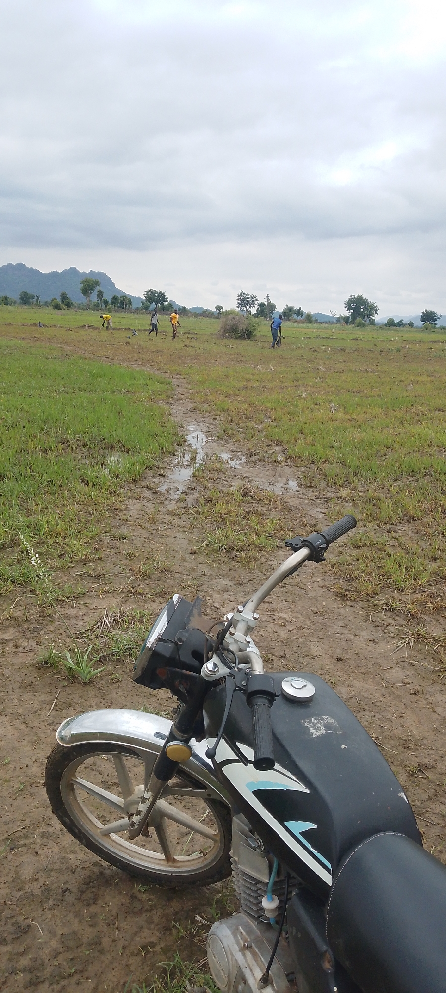 Memory