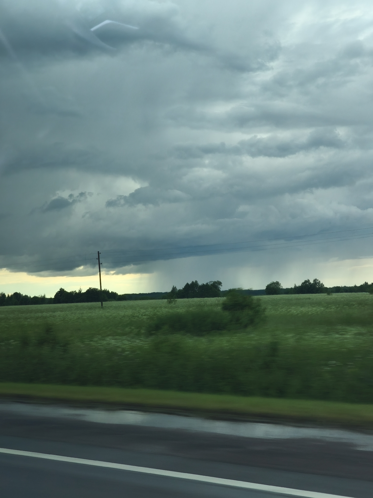 A side-view, medium shot captures a dramatic skyscape over a rural landscape. Dark, heavy storm clouds dominate the upper portion of the frame, with streaks of lighter sky visible on the horizon. A faint rain shower is visible in the distance. The middle ground features a vast, green field with scattered white flowers, giving it a textured appearance. A solitary wooden utility pole stands in the field, supporting power lines that stretch horizontally across the frame. The foreground shows a wet asphalt road with a white line marking. The overall impression is one of an impending storm or the aftermath of rain in a rural Russian setting, possibly near Kipuya. There are no people or animals visible in the image.