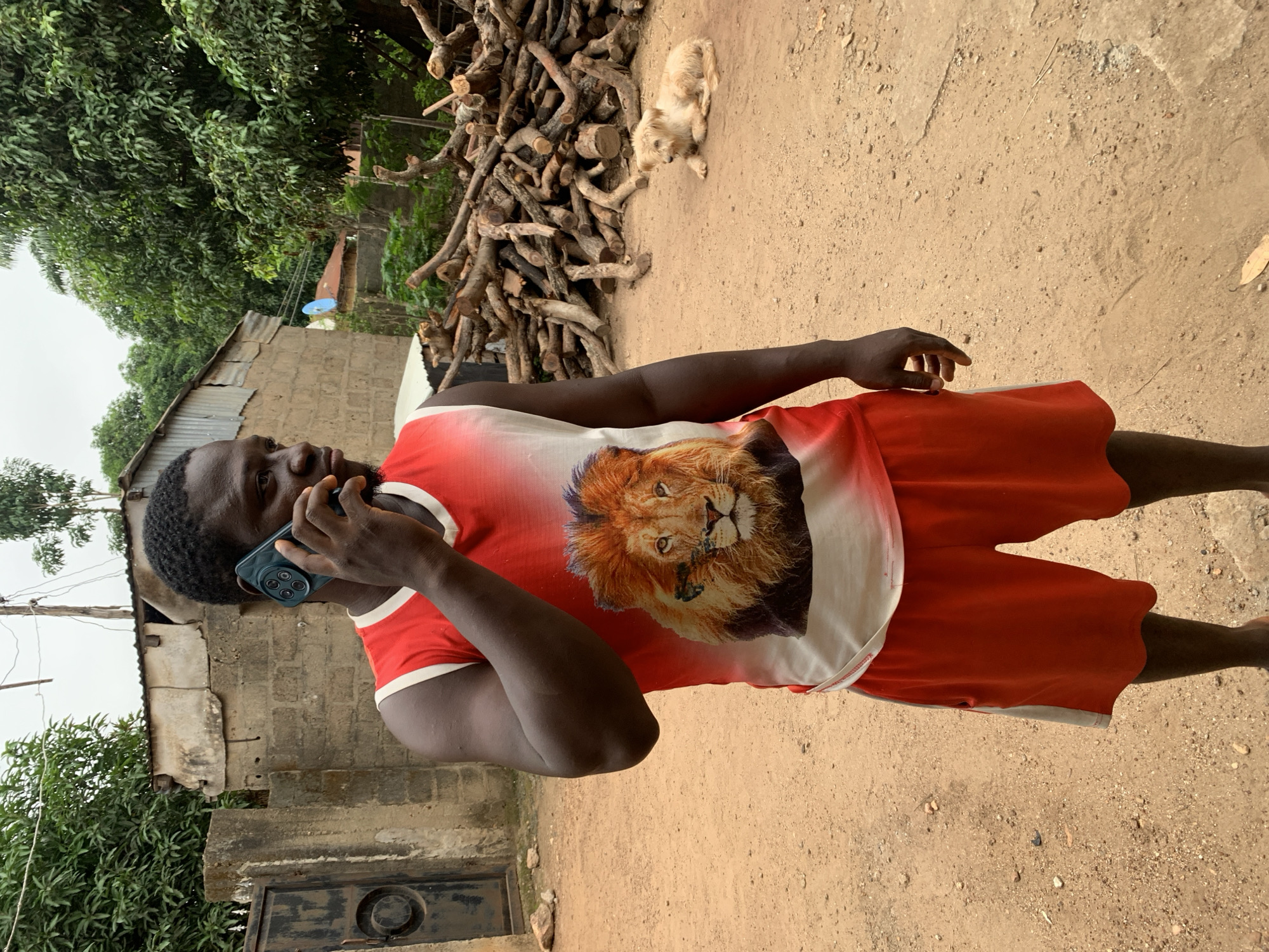 A young man is depicted speaking on a smartphone in a bright outdoor setting, likely Akwanga, Nigeria. He stands on a dusty, light brown dirt ground, facing left and looking slightly upwards, with the phone held to his left ear. He has dark skin and short, dark hair. His attire consists of a red and white sleeveless shirt adorned with a large, detailed graphic of a lion's head on the chest, paired with red shorts featuring white trim.
In the background, to the man's right, there is a substantial pile of cut wooden logs and branches. Resting calmly on the dirt near this pile is a small, light-colored (tan/cream) fluffy dog. The broader background reveals modest buildings constructed with concrete blocks and topped with corrugated metal roofs. Lush green trees and dense foliage occupy the upper and left sections of the image, suggesting a verdant environment. A small blue satellite dish is visible on a pole, hinting at connectivity in the area. The clear, bright lighting indicates it is daytime. There is no visible text in the image. The scene conveys a casual, everyday moment in a semi-rural or residential locale.