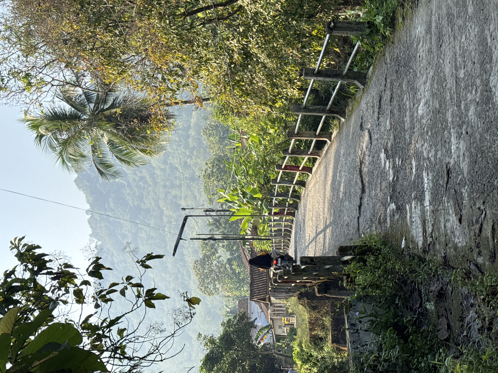 A motorcycle with a rider wearing a black hijab and yellow shirt travels across a weathered concrete bridge in Kalirancang, Indonesia. The bridge is lined with a concrete barrier topped by metal railings and concrete posts, some adorned with red accents. Lush green vegetation borders the bridge, with trees and foliage creating a natural canopy. In the background, rolling hills covered in trees recede into a hazy sky, suggesting a rural or semi-rural setting. A few buildings with terracotta roofs are visible amidst the greenery to the left of the bridge. The road surface is cracked and shows signs of wear, with patches of moisture reflecting the sunlight. A street lamp is mounted on a pole near the bridge.