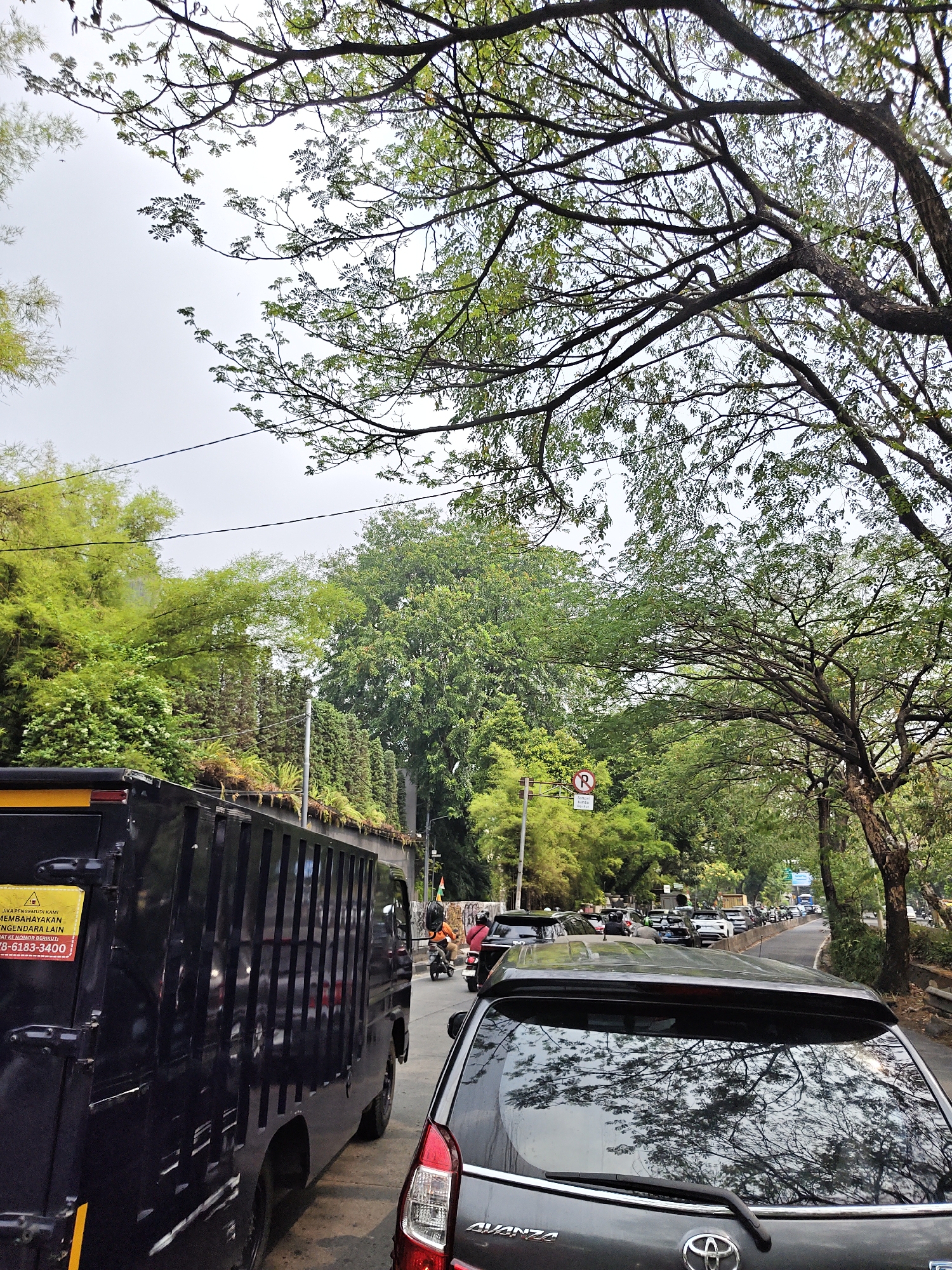 The image depicts a traffic jam on a street in South Jakarta, Indonesia, under a cloudy sky with trees lining both sides of the road. In the foreground, a dark blue truck with a caged back is partially visible on the left, and the rear of a dark grey car is on the right. The truck has a yellow sticker on its side with text that is partially obscured. Further down the road, a long line of cars and motorcycles are stopped. On the left side of the street, there is a dense green hillside with bamboo and other foliage. A "no parking" sign is visible on a pole to the left of the road. The overall atmosphere is one of urban congestion during daytime.