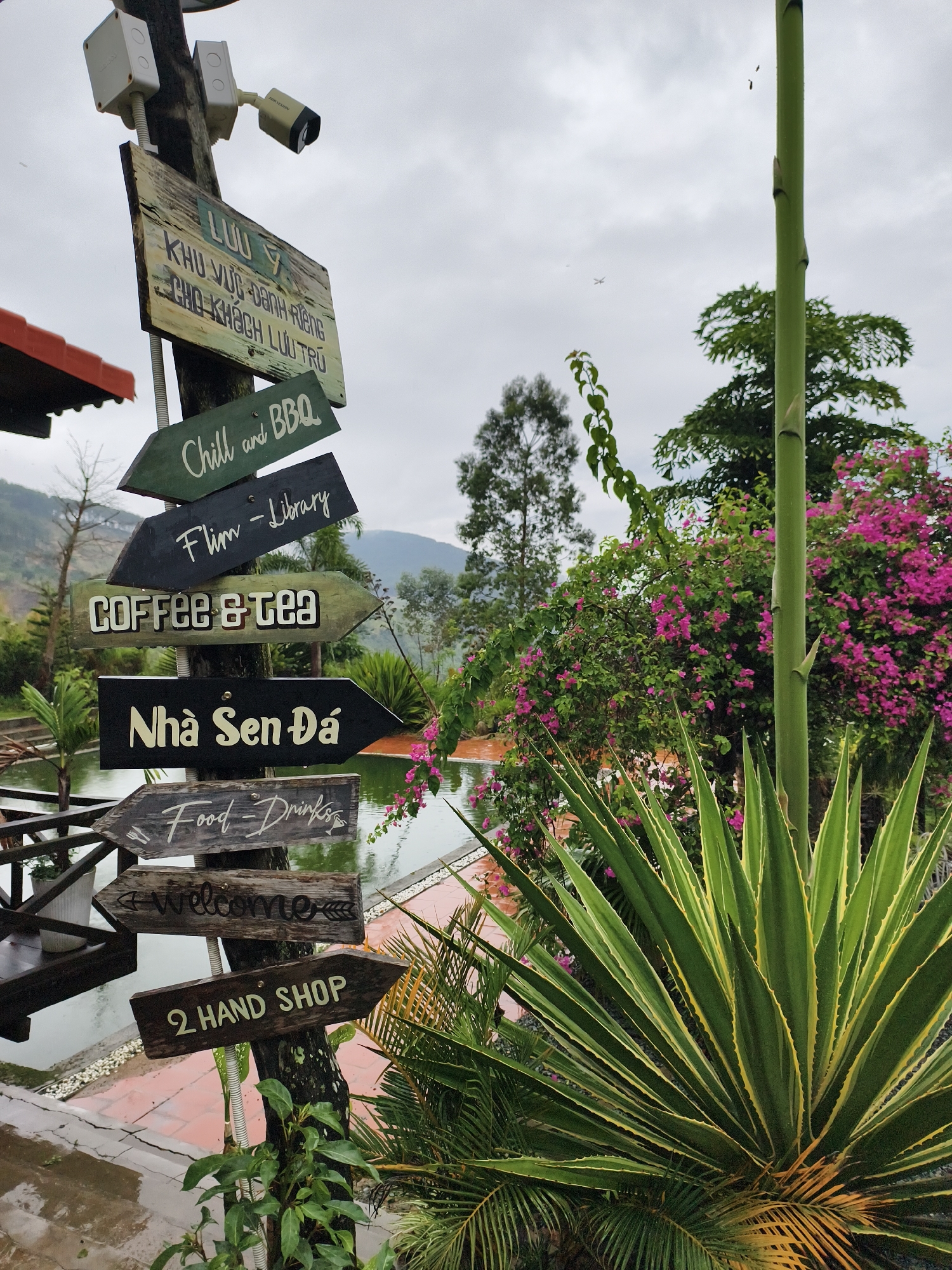 The photograph shows a directional signpost in an outdoor setting. The signpost, which appears to be made of weathered wood, is topped with two security cameras. Multiple directional signs are attached to the post, each pointing in a different direction and labeled with various establishments or activities. The signs read: "Luu y KHU VUC DANH RIENG CHO KHACH LUU TRU," "Chill and BBQ," "Flim - Library," "Coffee & Tea," "Nha Sen Da," "Food Drinks," "Welcome," and "2 Hand Shop."
The signpost is surrounded by lush greenery, including an agave plant in the foreground and flowering bushes with vibrant pink blossoms in the background. A body of water, possibly a pond or small lake, is visible behind the plants. The ground appears to be paved, and there is a glimpse of a building with a red roof on the left side of the frame.
In the distance, rolling hills are visible, adding depth to the scene. The sky is overcast, suggesting a cloudy or rainy day. The overall atmosphere is tranquil and inviting, typical of a resort or recreational area. The photograph was taken in Unknown, Unknown.